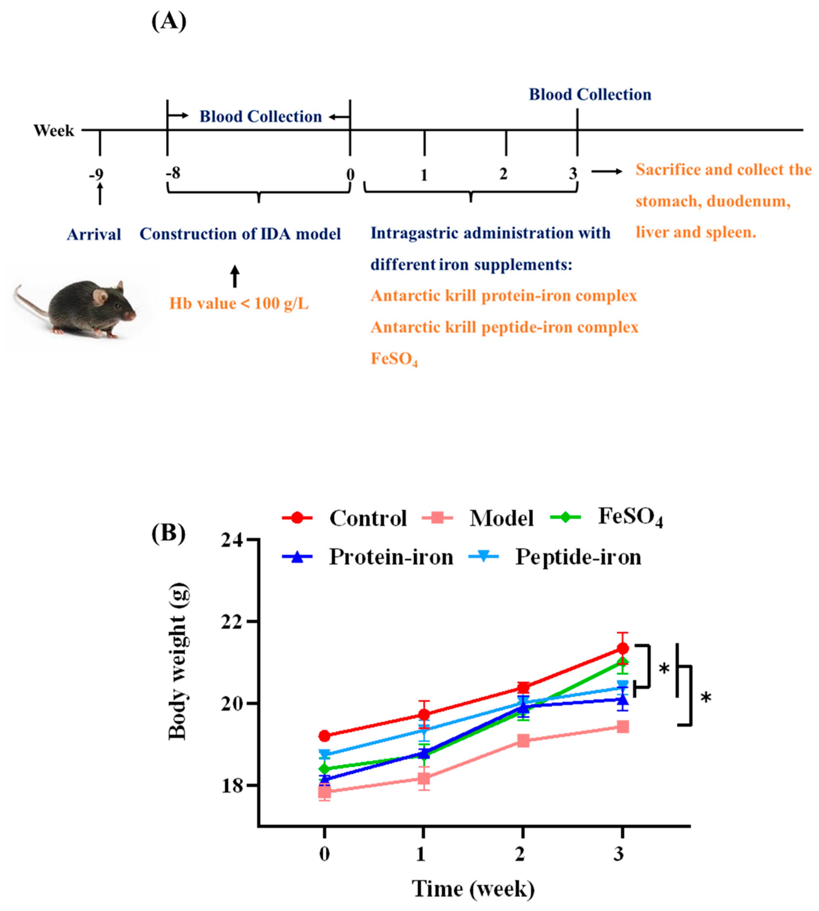 Nutrients 15 02510 g001 Nutrients 15 02510 g001