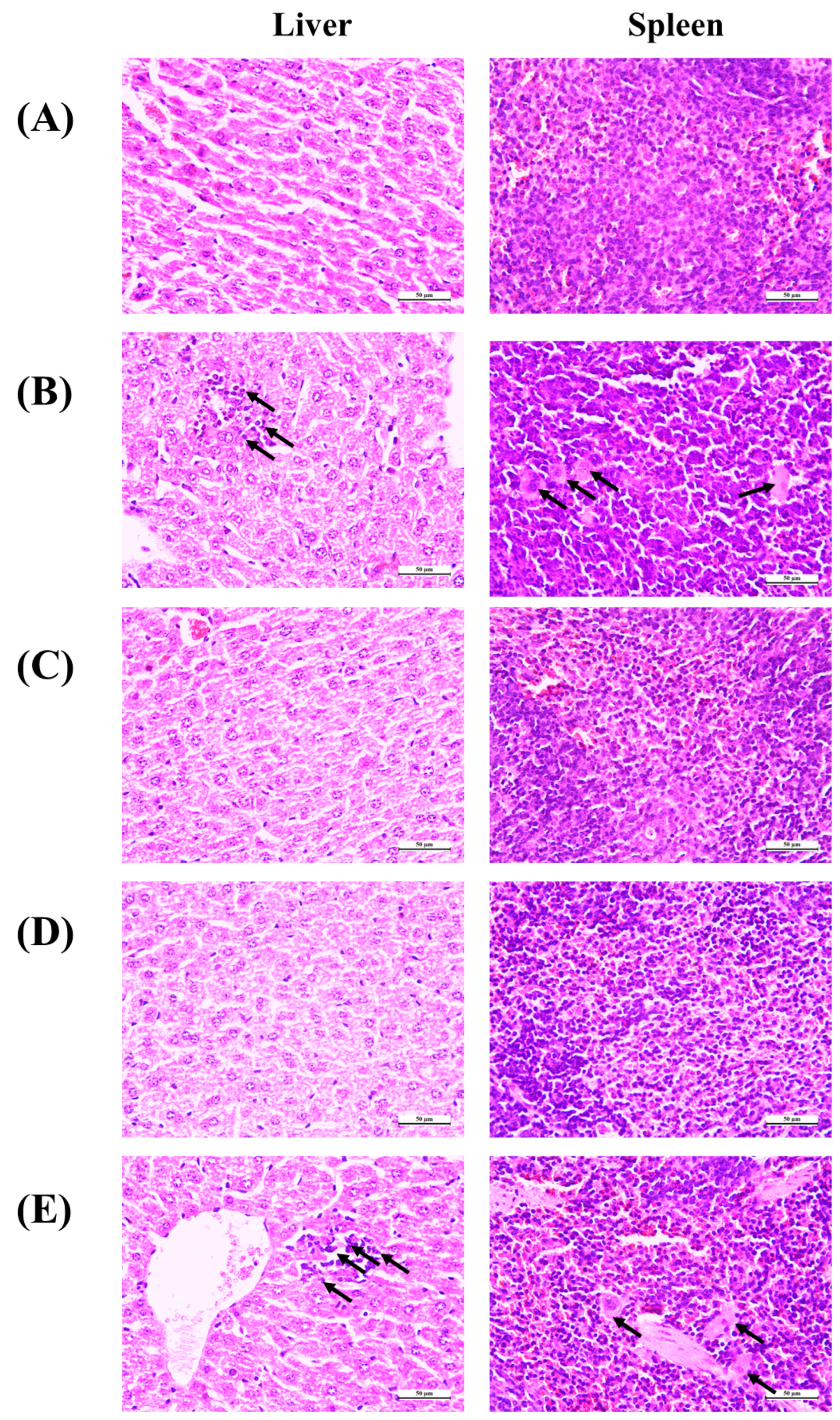 Nutrients 15 02510 g007 Nutrients 15 02510 g007