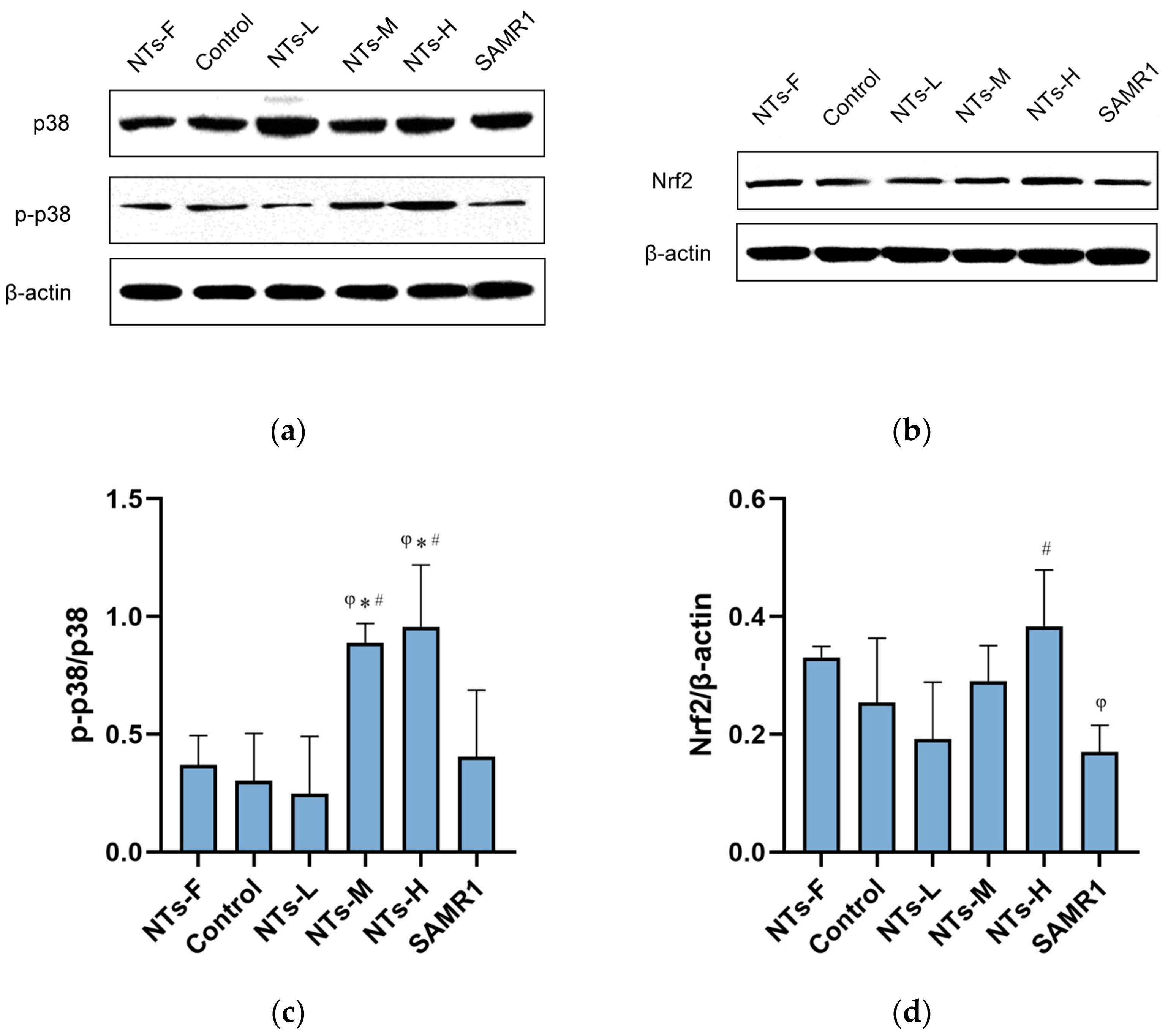Nutrients 15 02533 g004