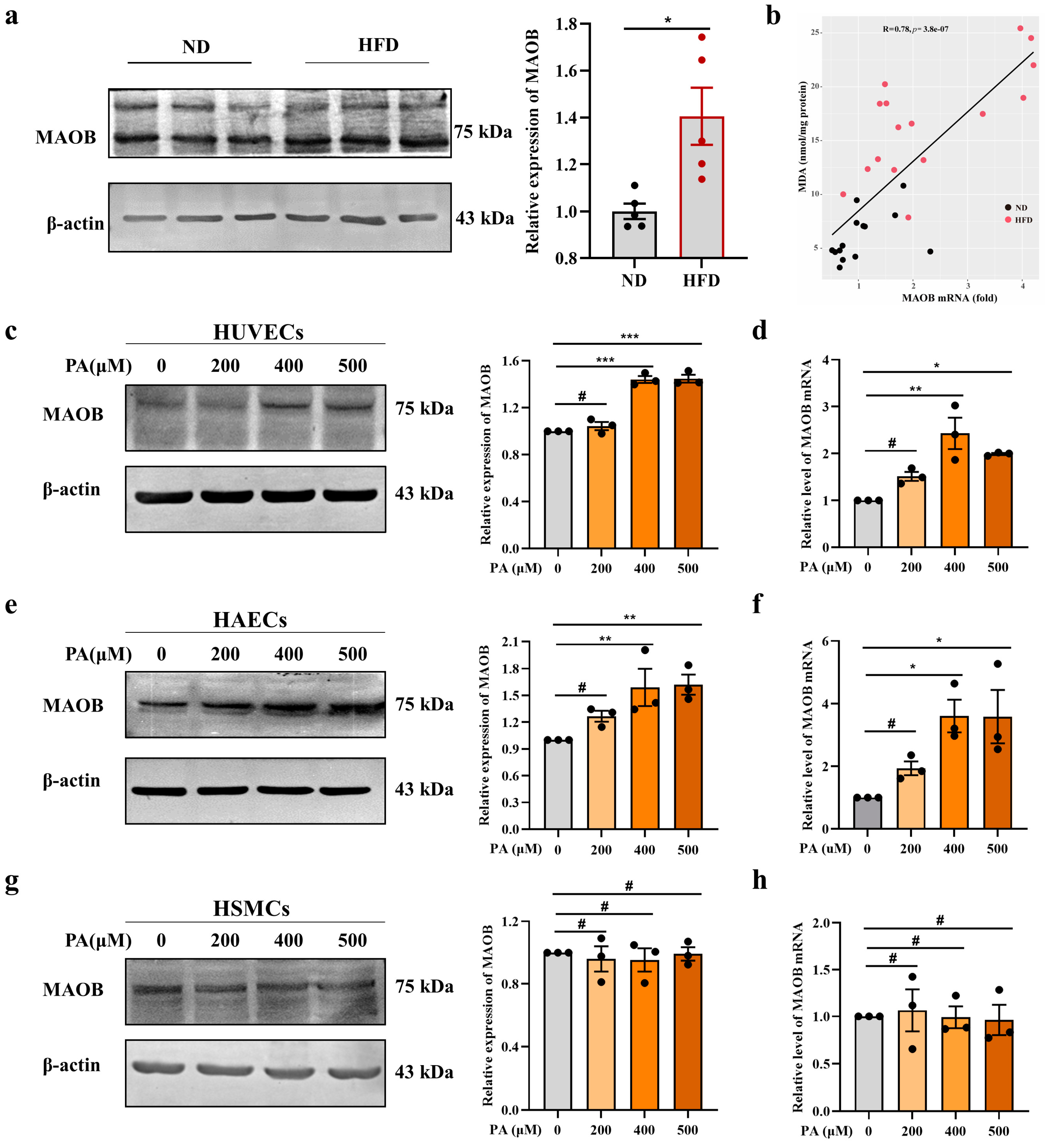 Nutrients 15 02542 g001