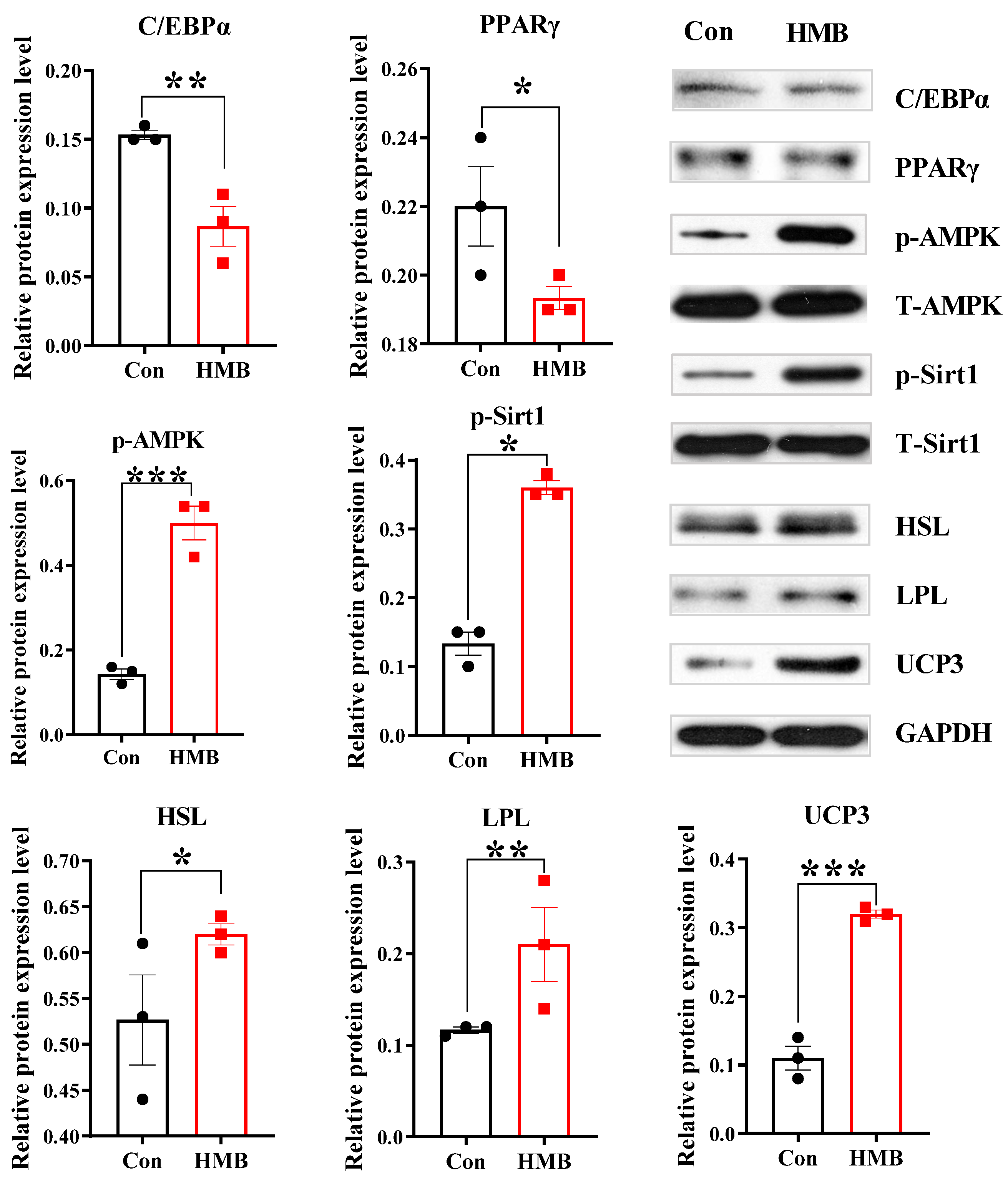 Nutrients 15 02550 g002 Nutrients 15 02550 g002