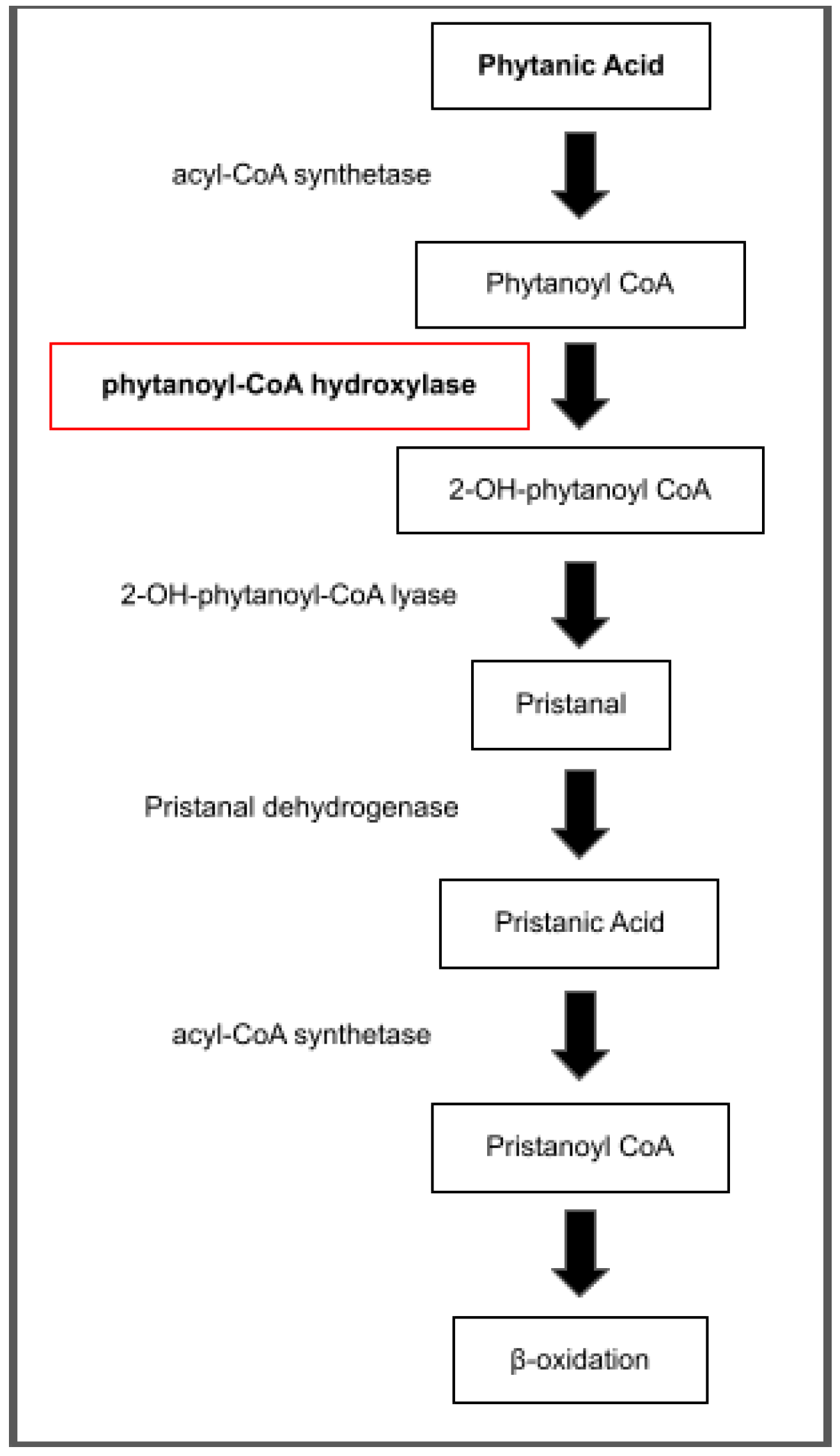 Nutrients 15 02551 g001
