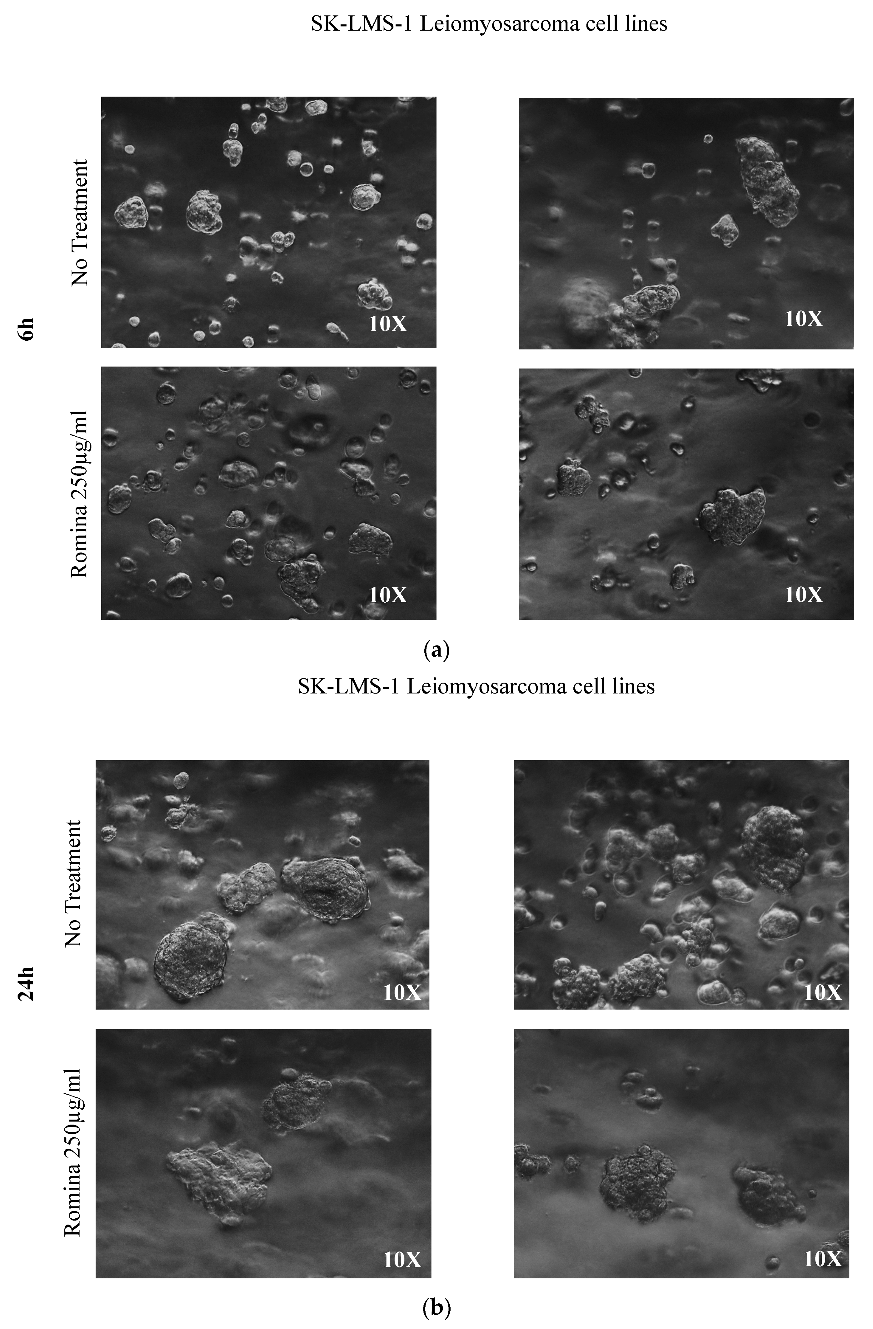 Nutrients 15 02557 g001a