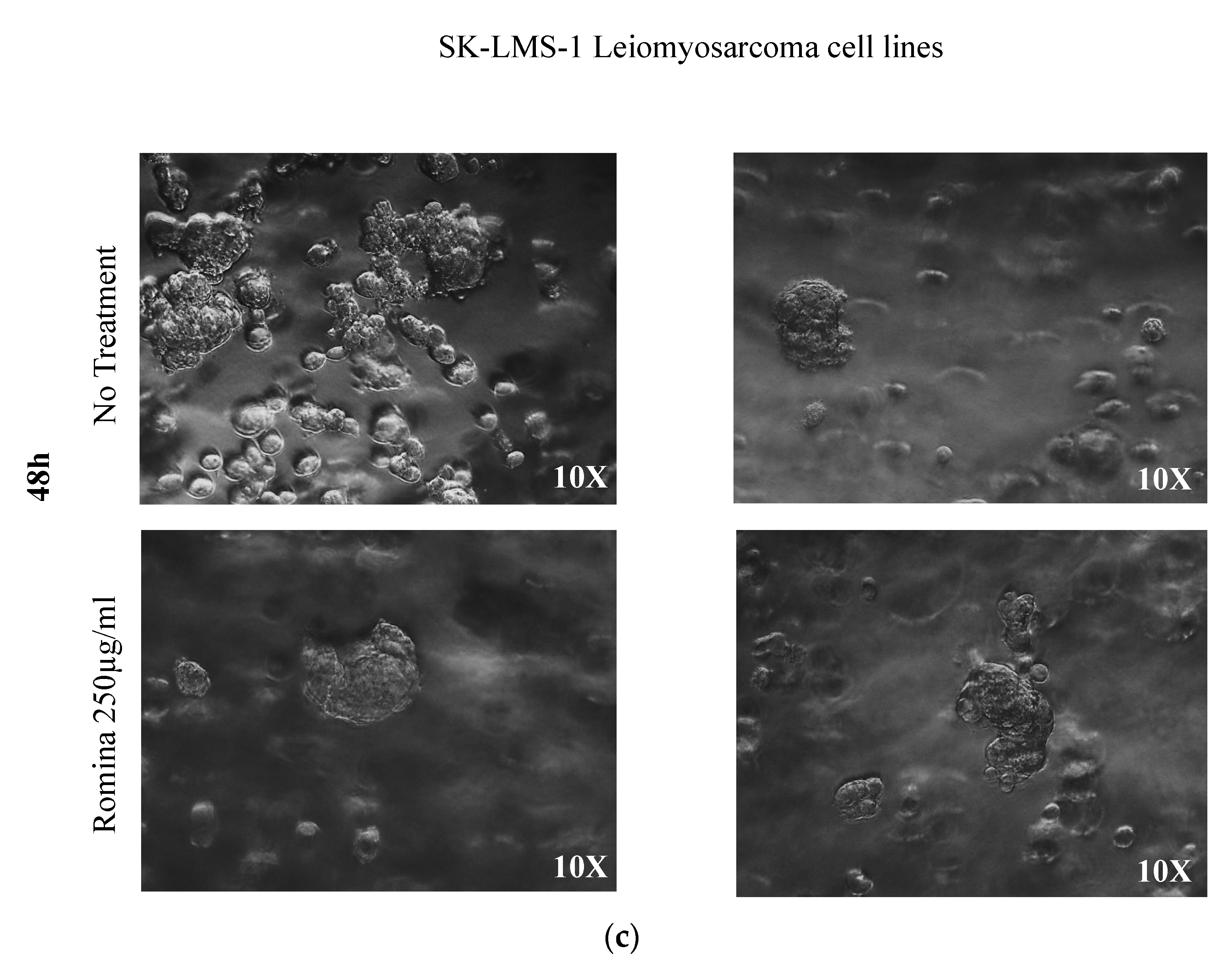 Nutrients 15 02557 g001b
