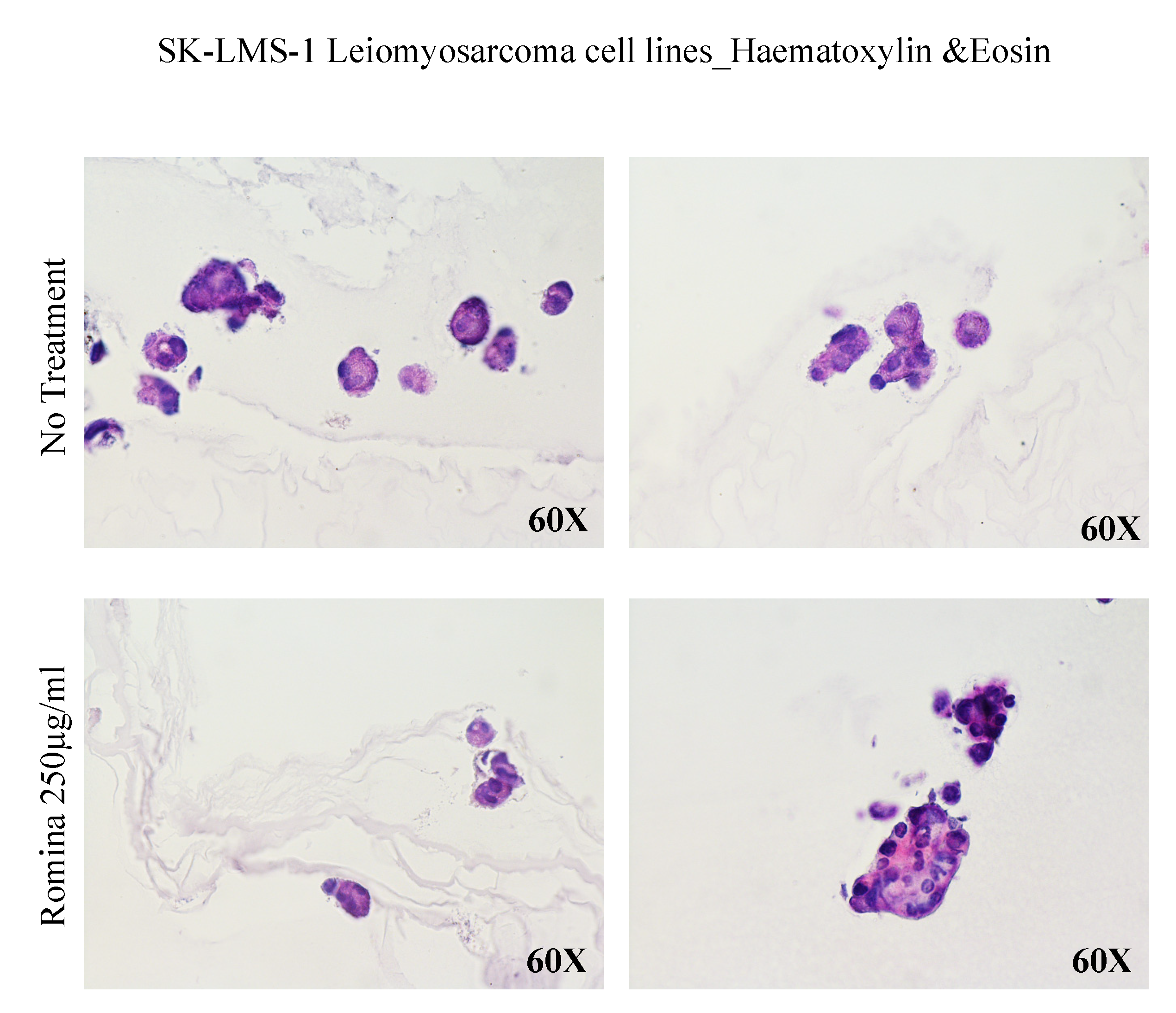 Nutrients 15 02557 g004