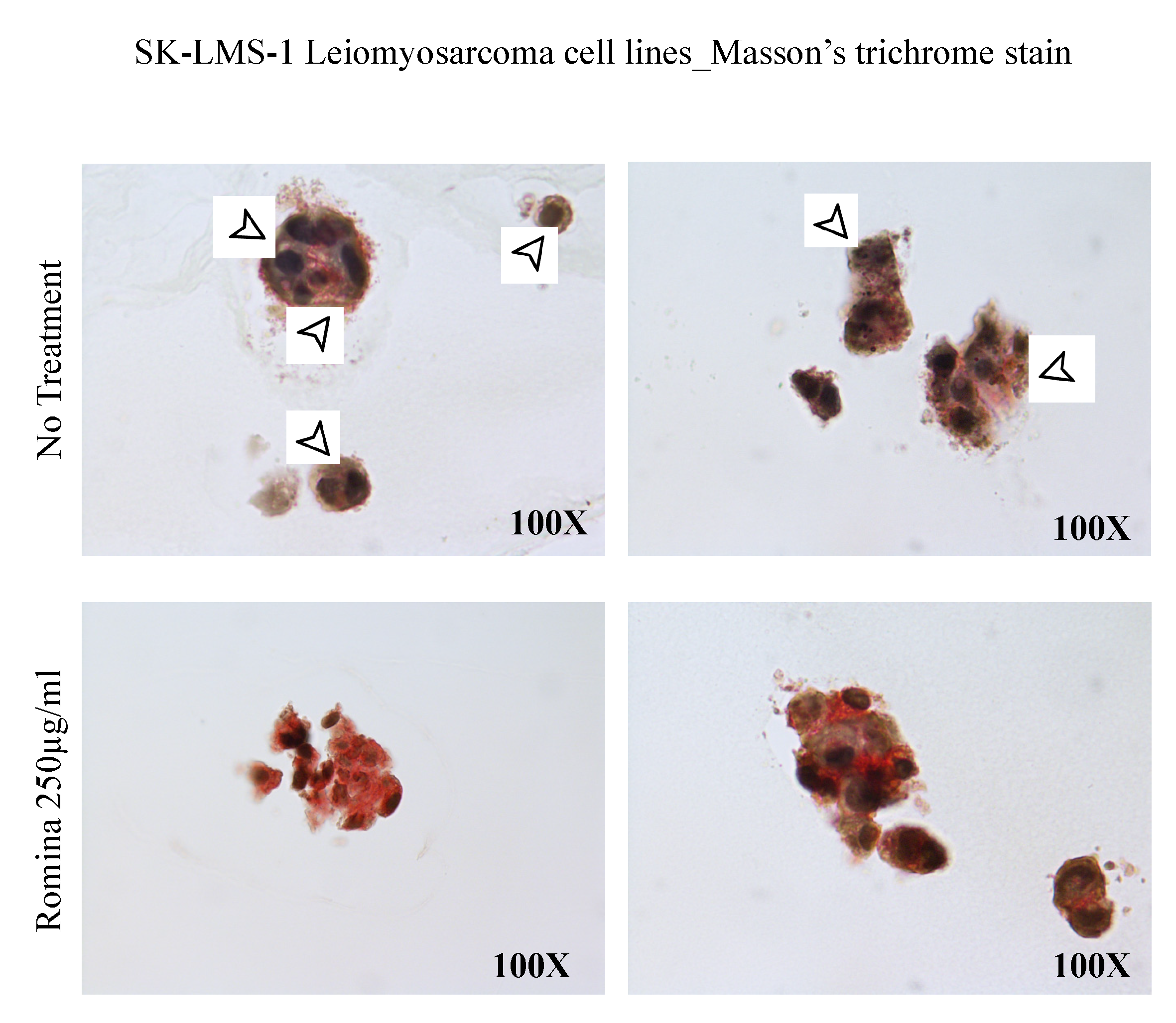Nutrients 15 02557 g005