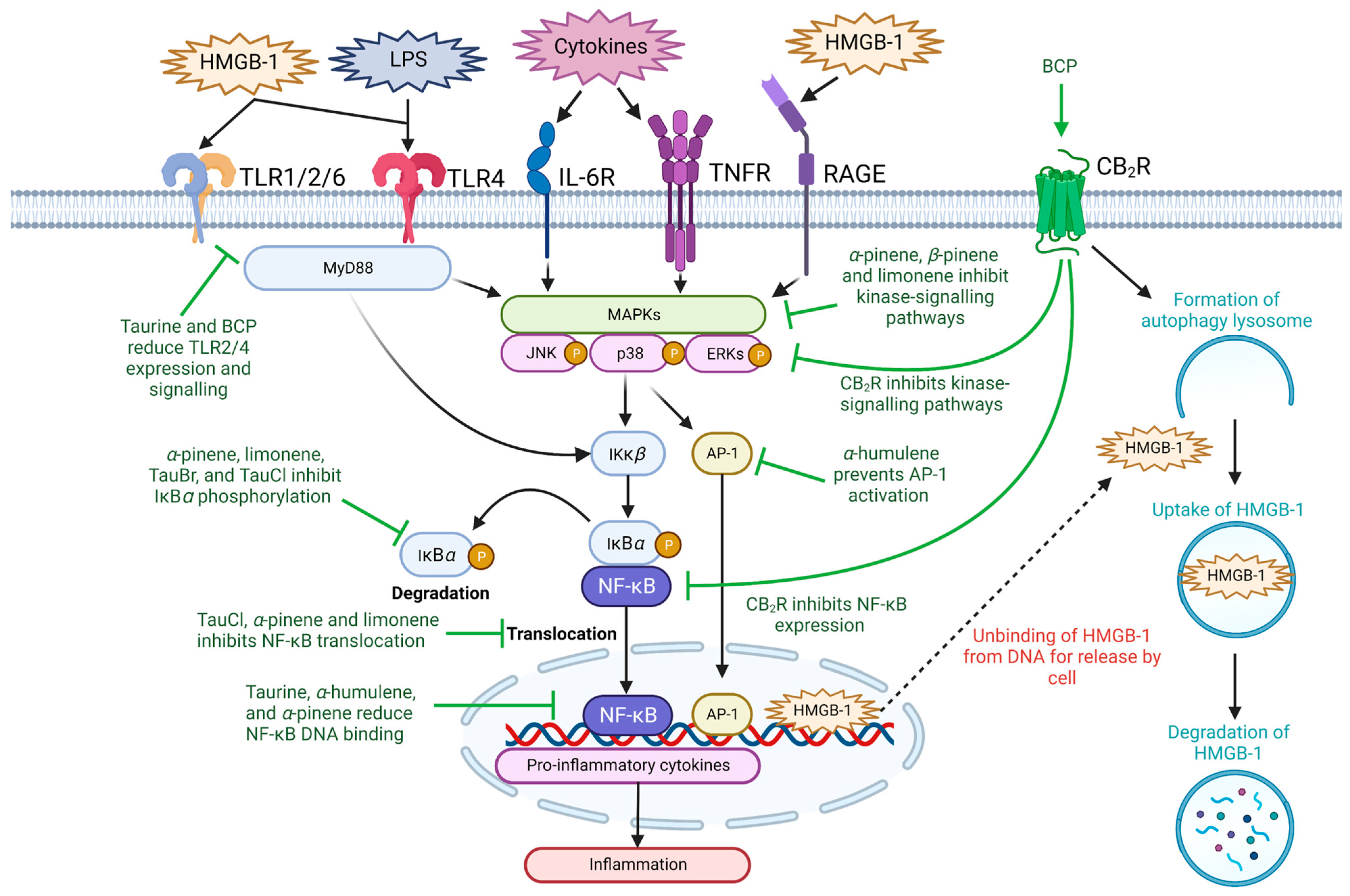 Nutrients 15 02562 g002 Nutrients 15 02562 g002