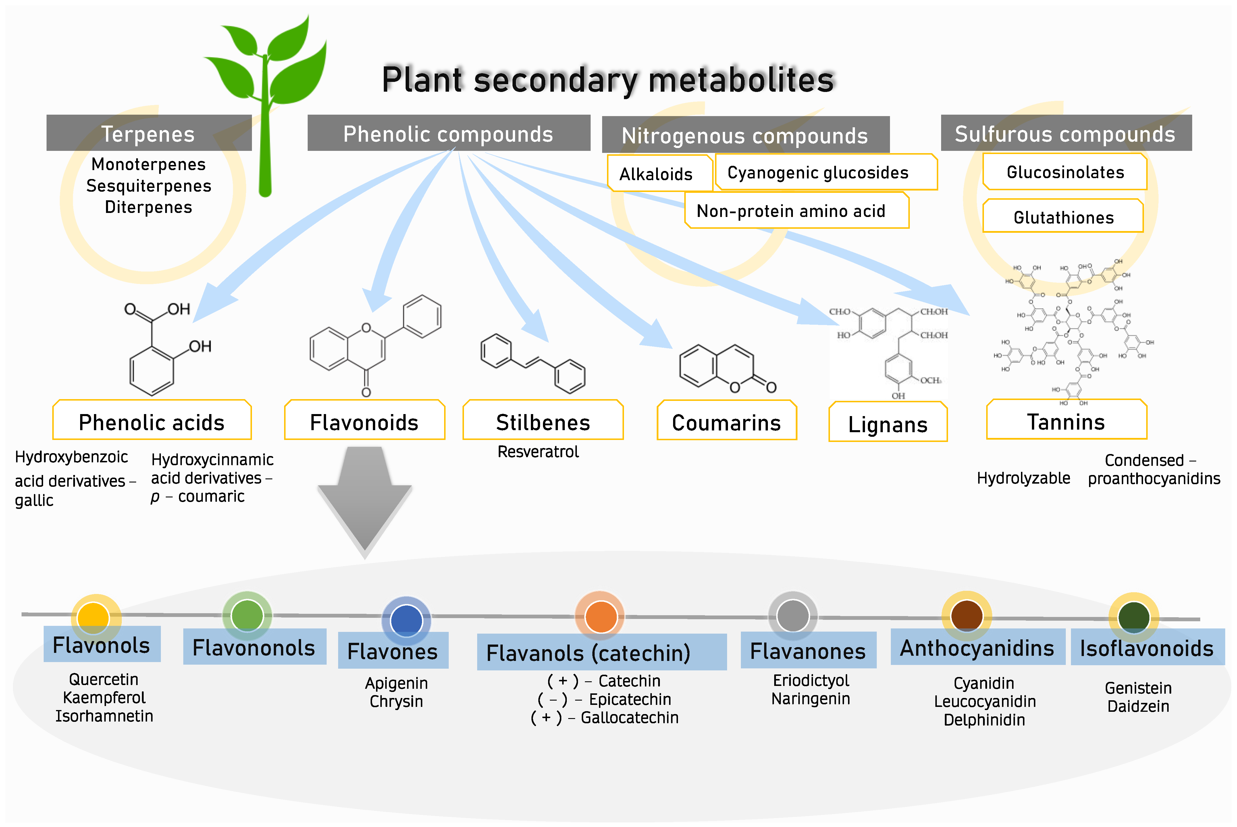 Nutrients 15 02564 g001 Nutrients 15 02564 g001