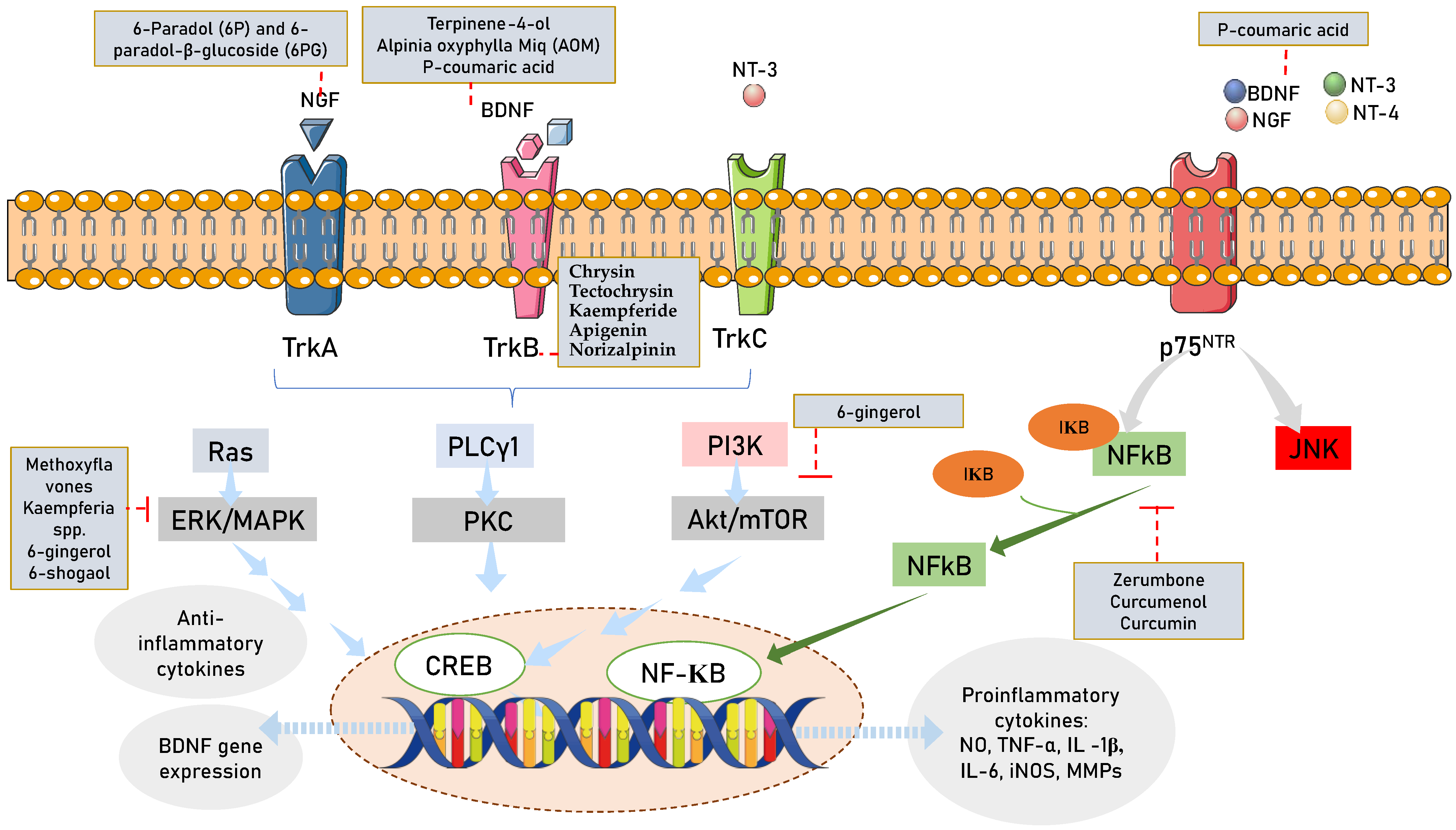 Nutrients 15 02564 g004 Nutrients 15 02564 g004
