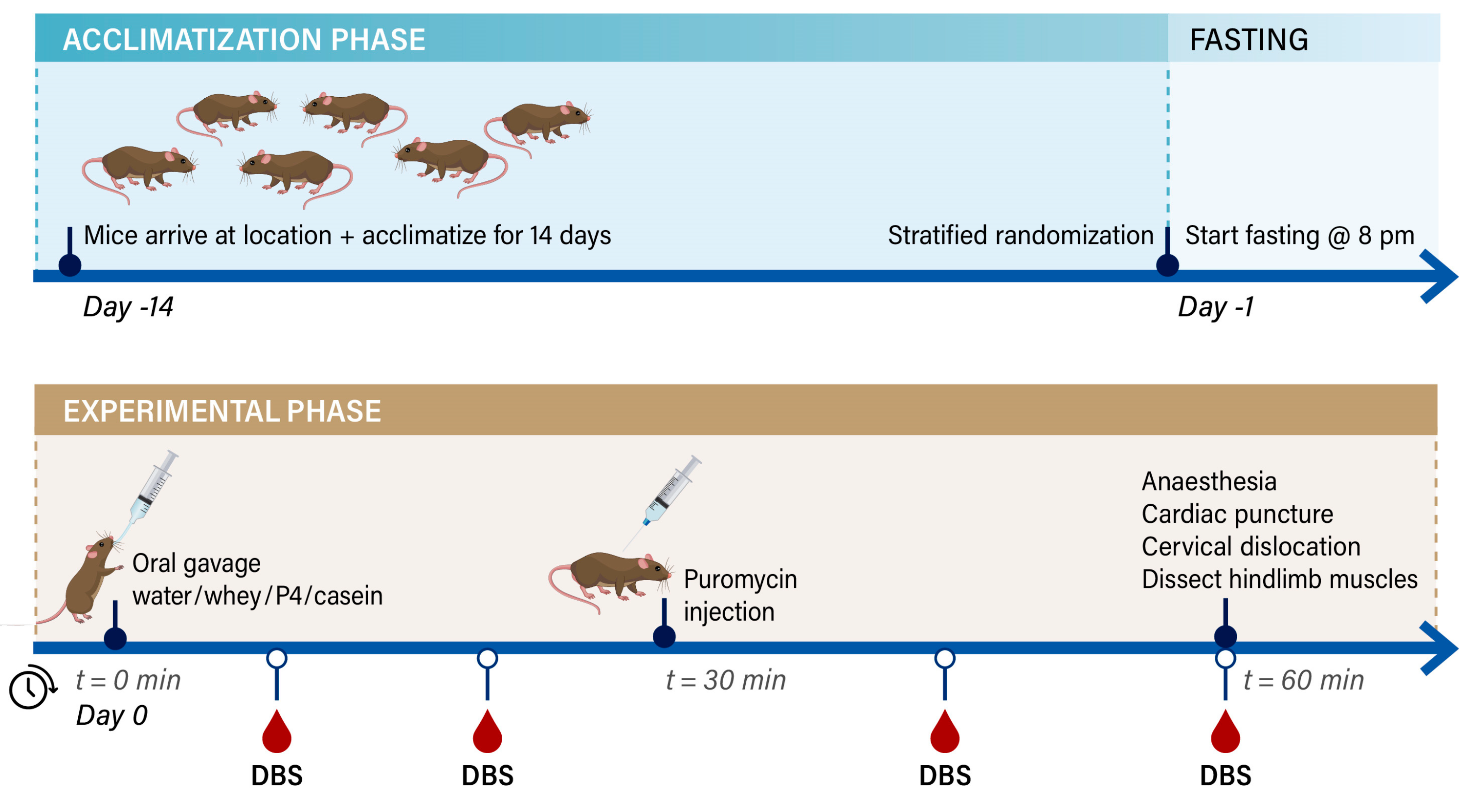 Nutrients 15 02569 g001 Nutrients 15 02569 g001