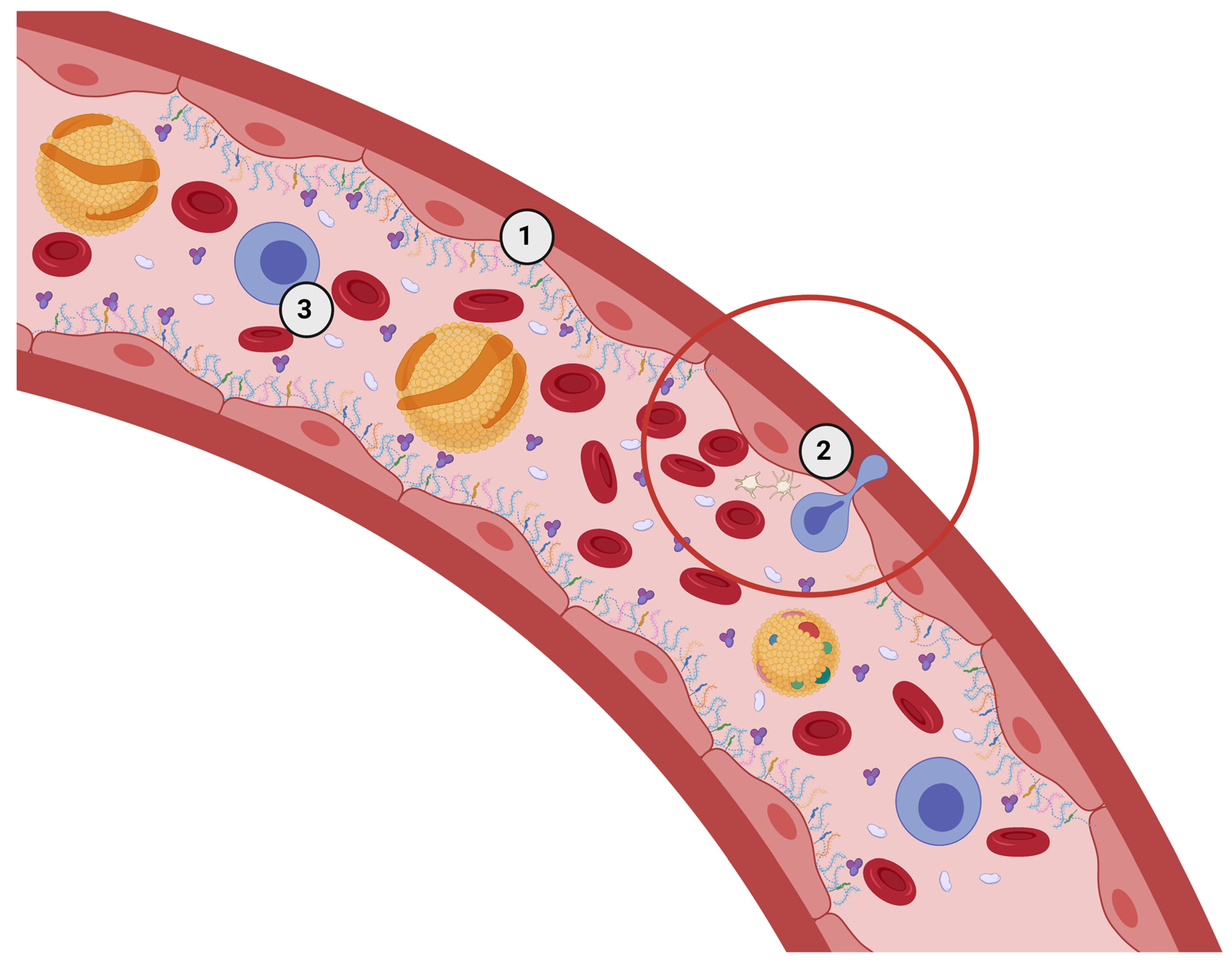 Nutrients 15 02573 g001 Nutrients 15 02573 g001