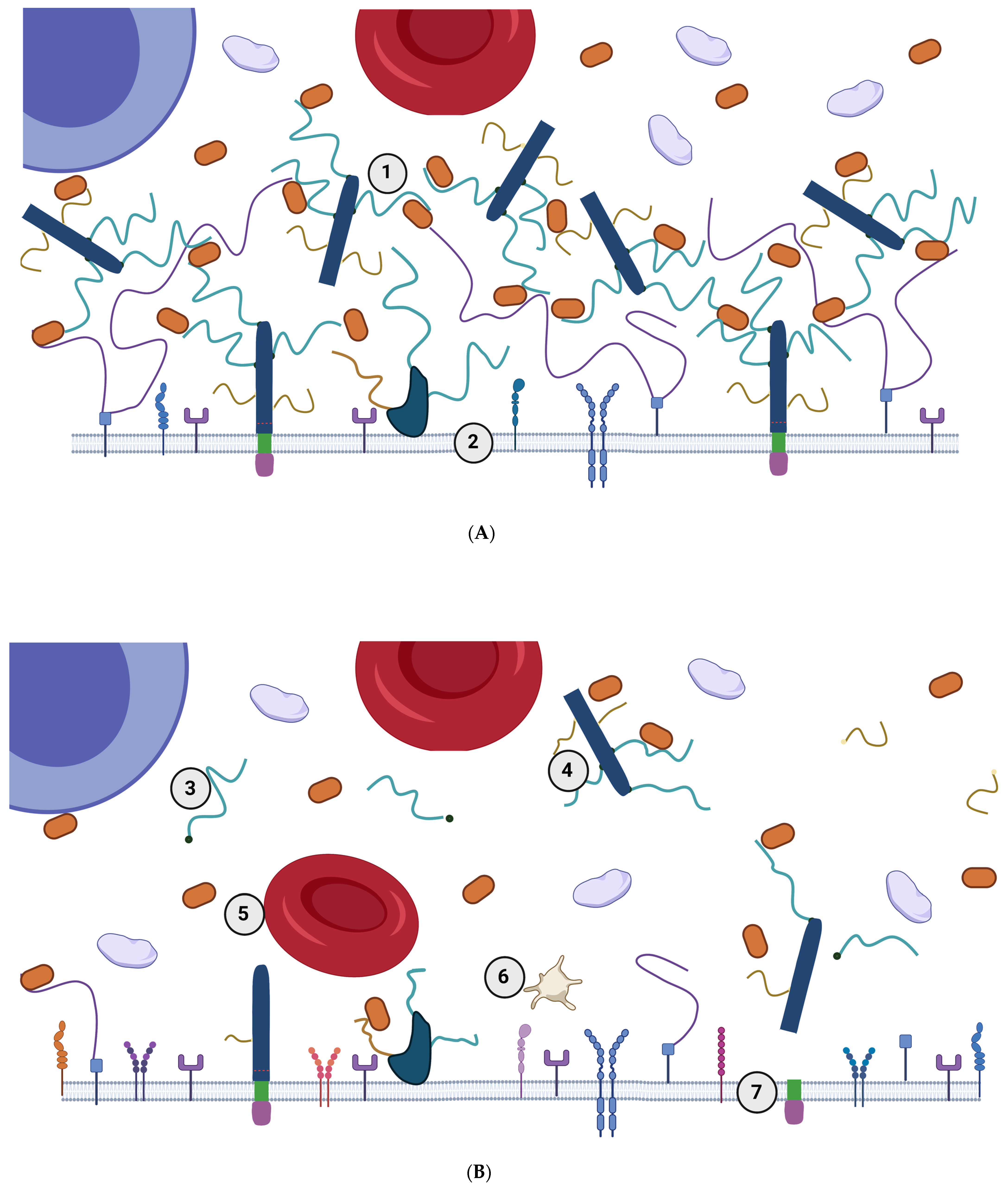 Nutrients 15 02573 g002 Nutrients 15 02573 g002