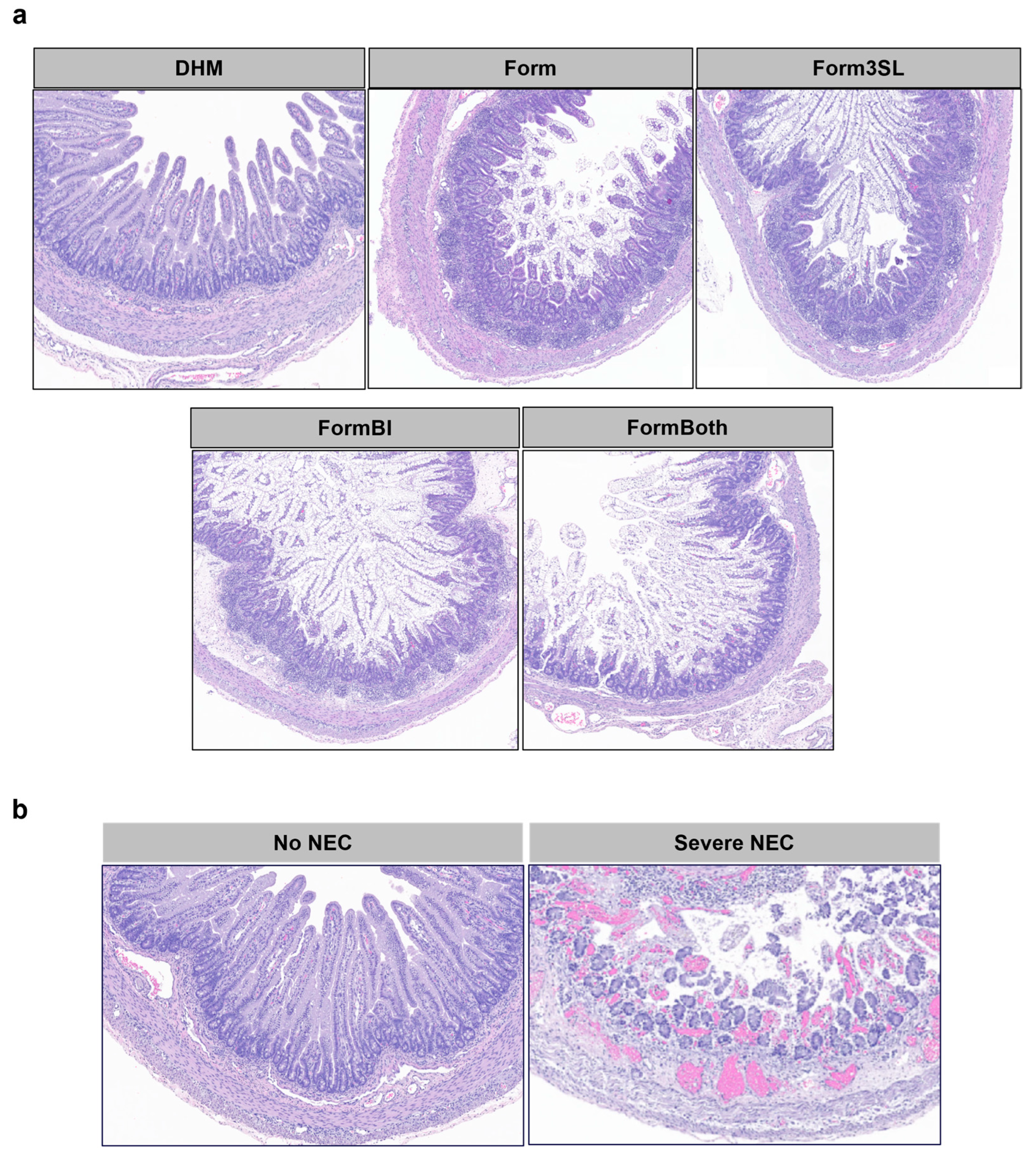 Nutrients 15 02585 g003 Nutrients 15 02585 g003