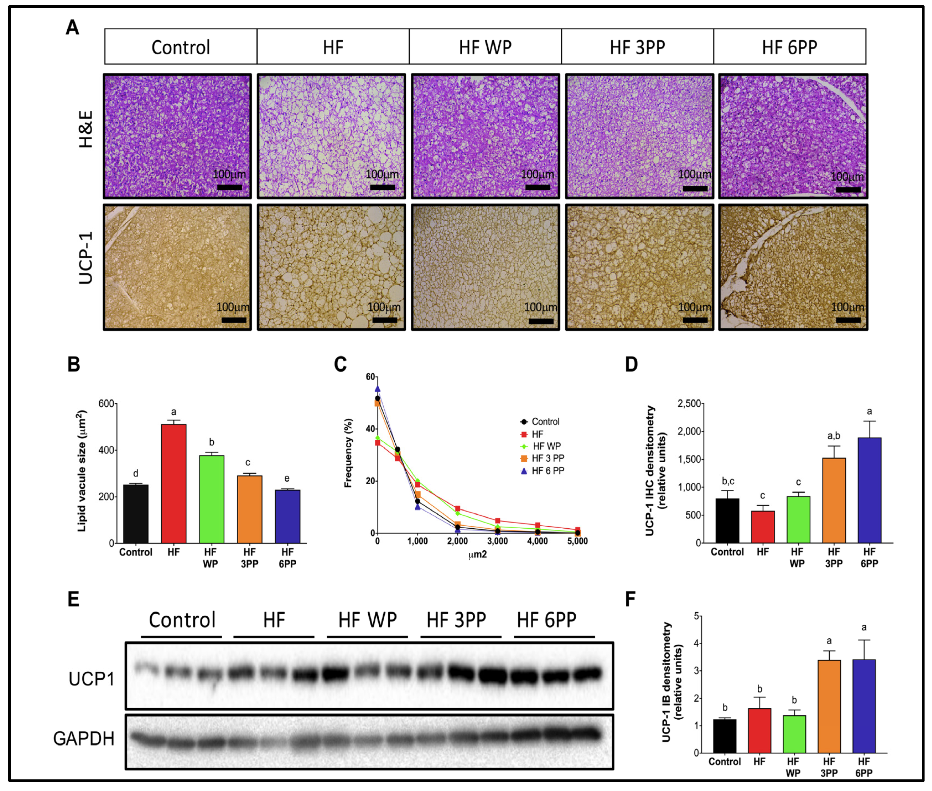 Nutrients 15 02591 g005
