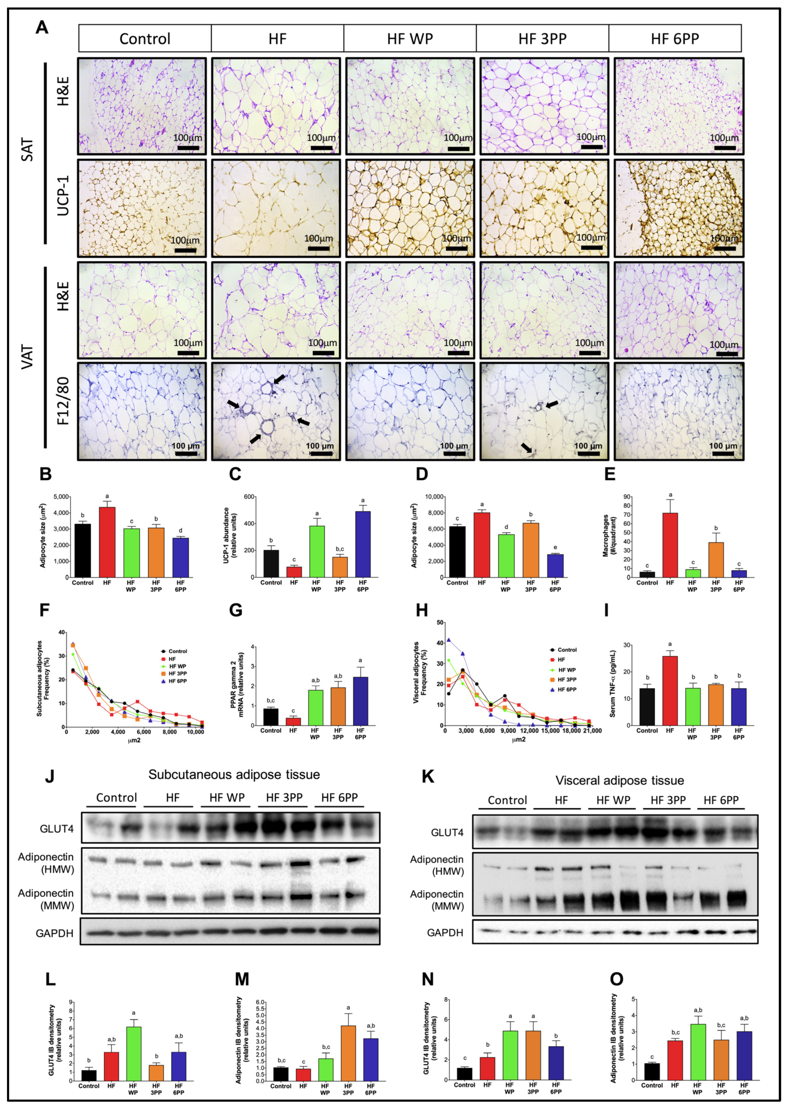 Nutrients 15 02591 g007