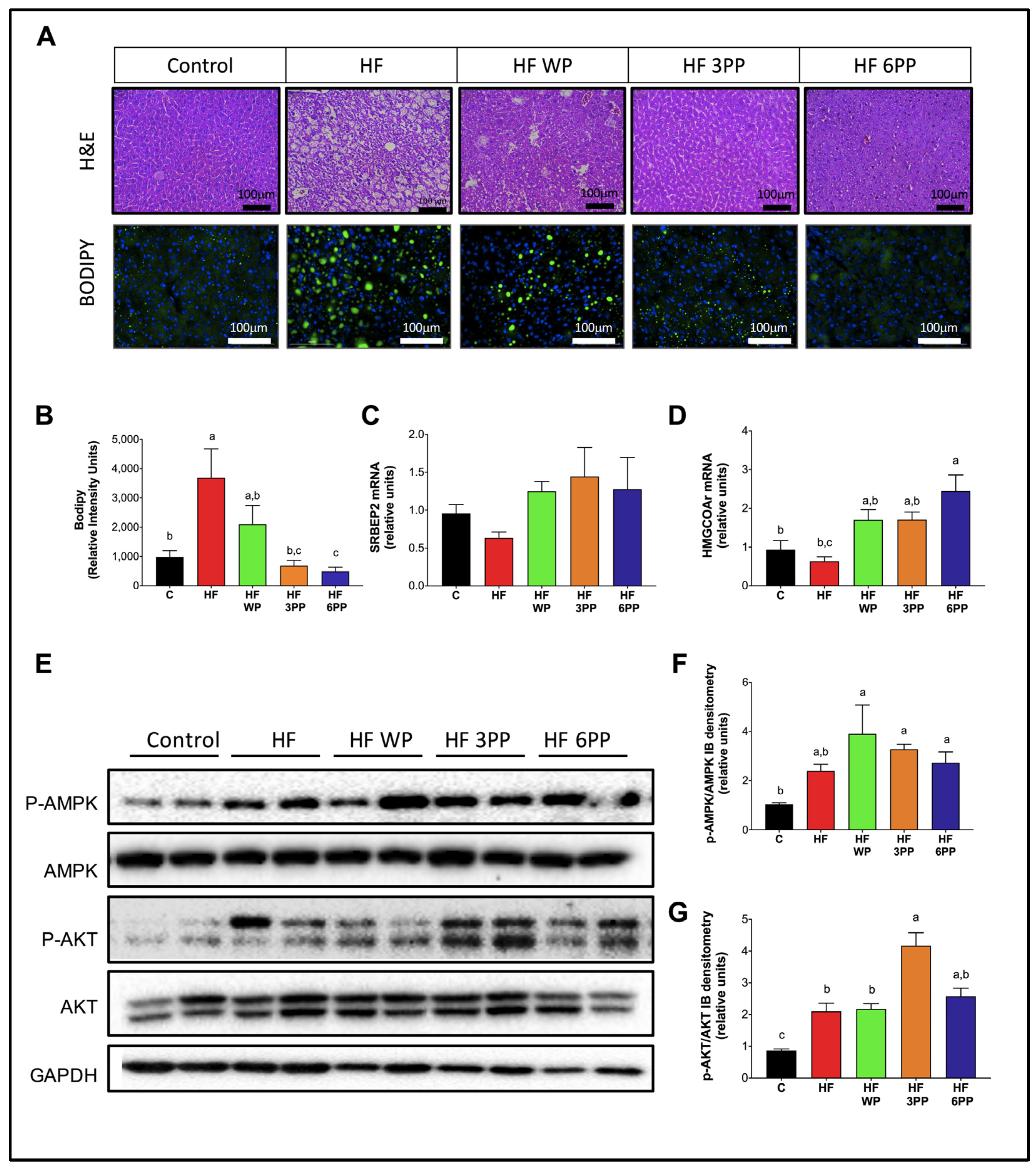 Nutrients 15 02591 g008