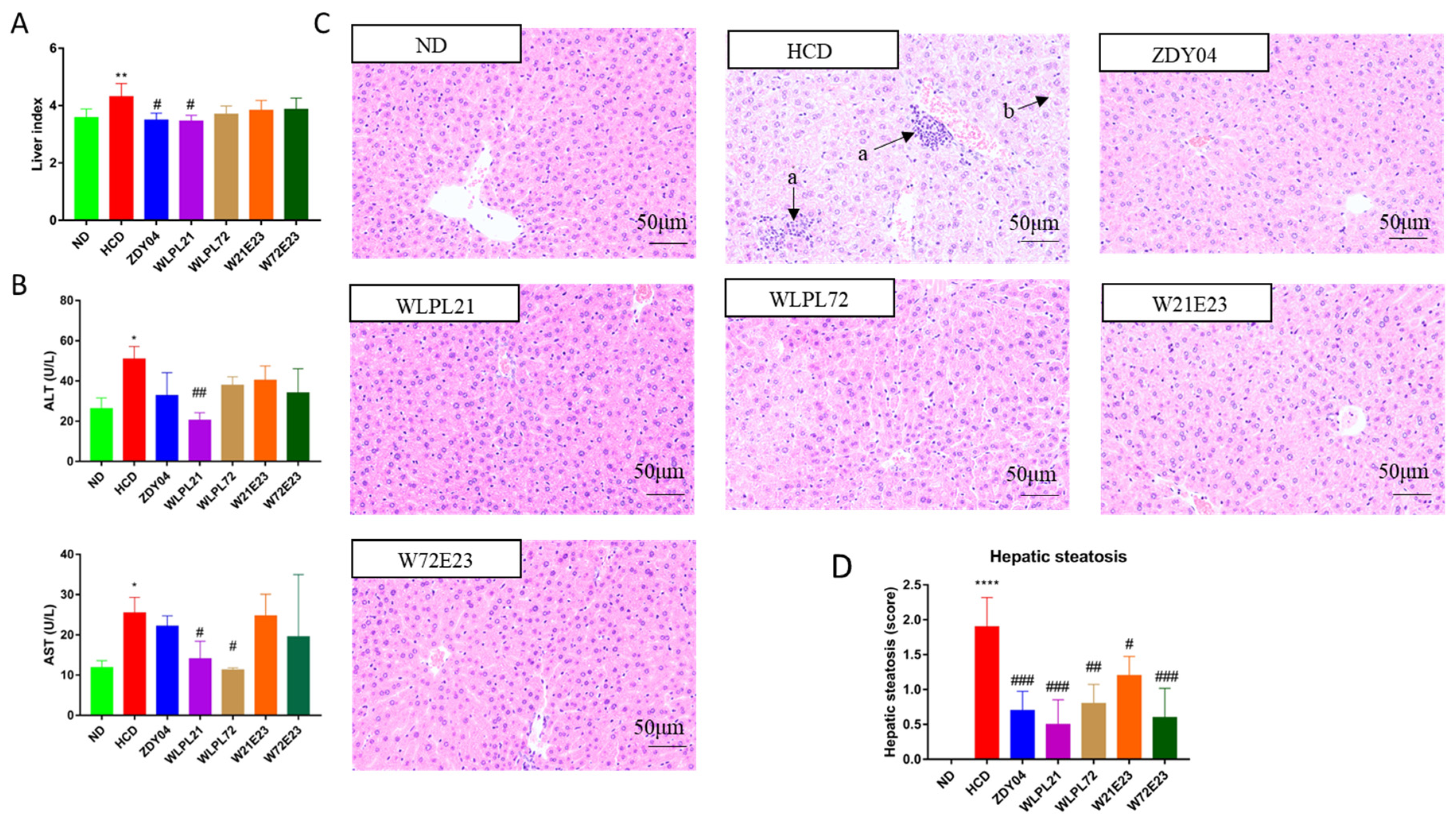 Nutrients 15 02600 g003 Nutrients 15 02600 g003