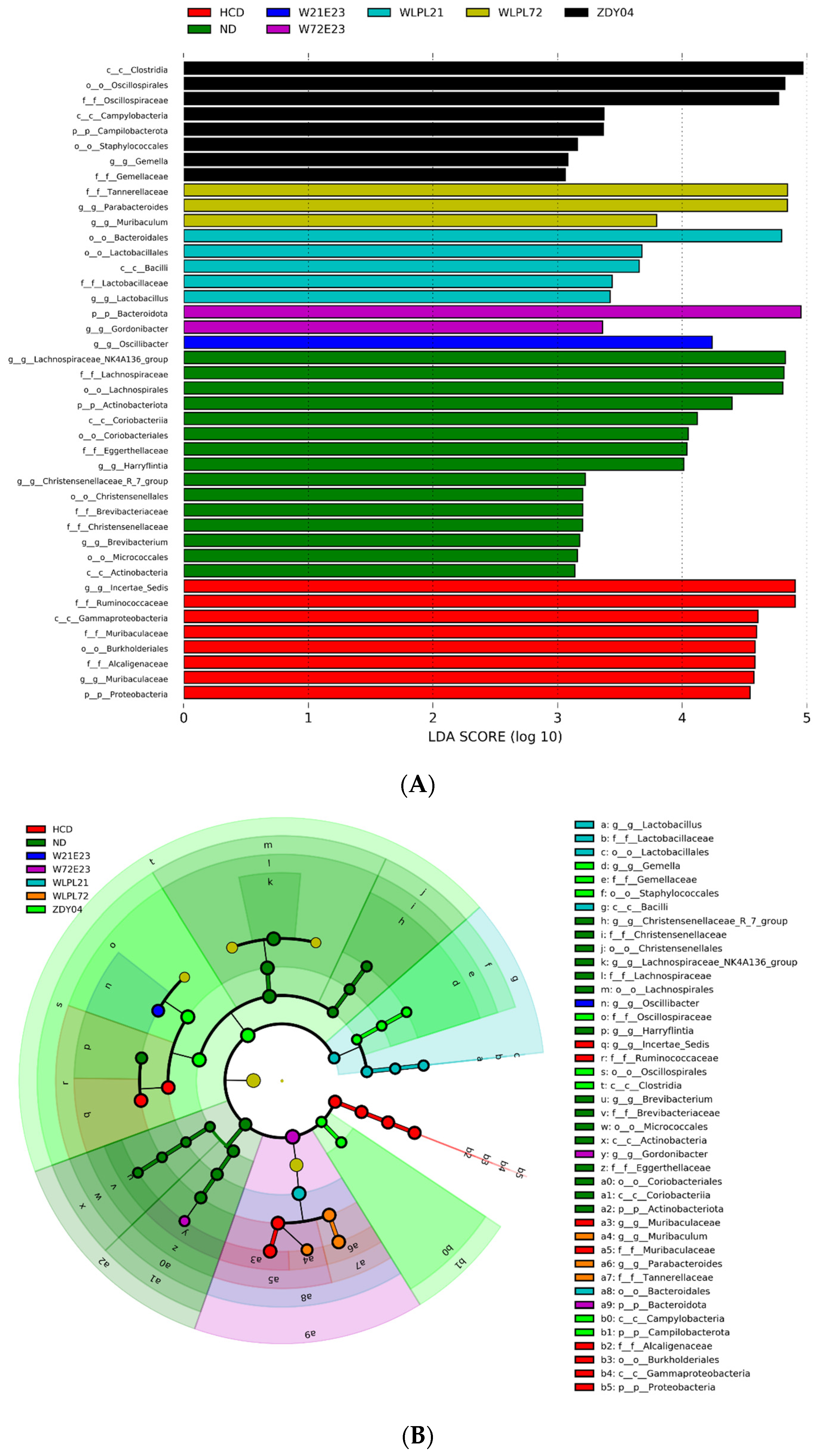 Nutrients 15 02600 g009 Nutrients 15 02600 g009