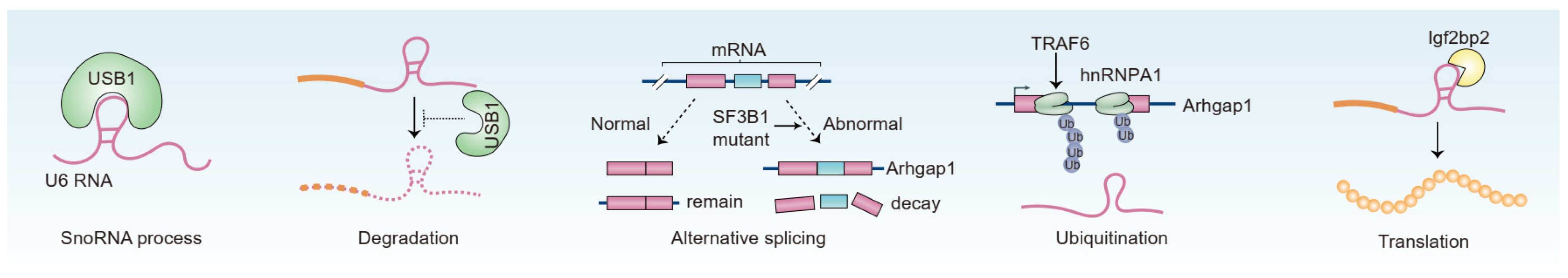 Nutrients 15 02605 g001 Nutrients 15 02605 g001