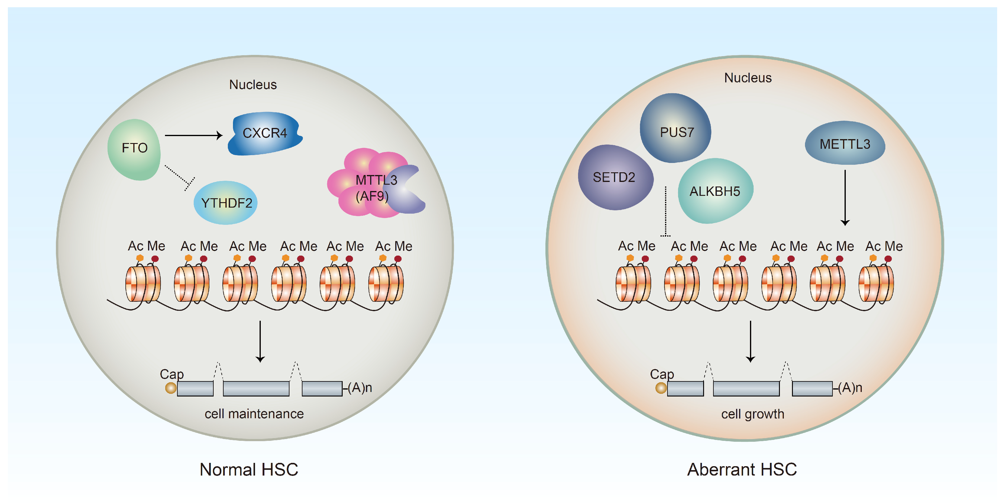 Nutrients 15 02605 g002 Nutrients 15 02605 g002