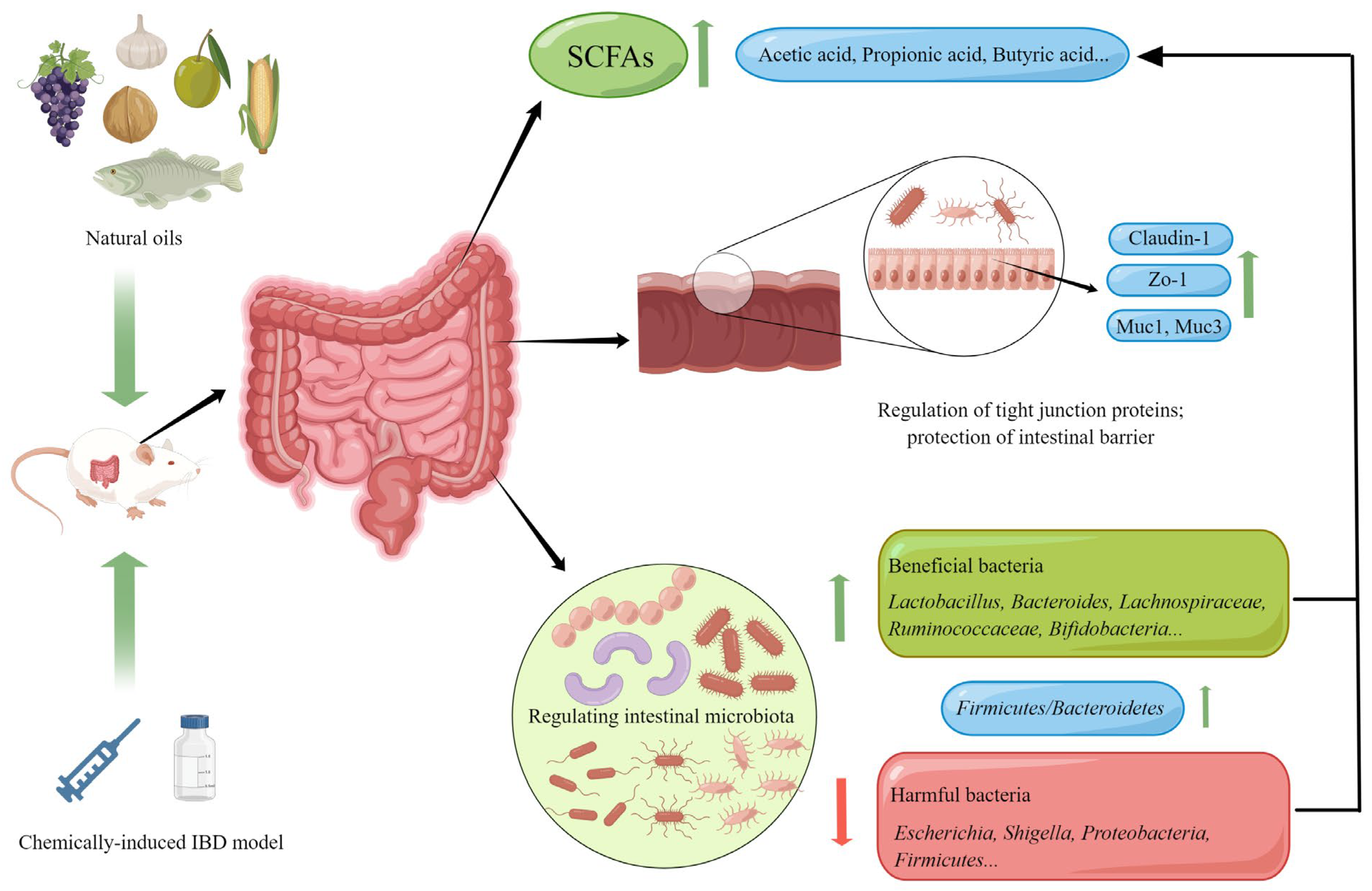 Nutrients 15 02606 g002