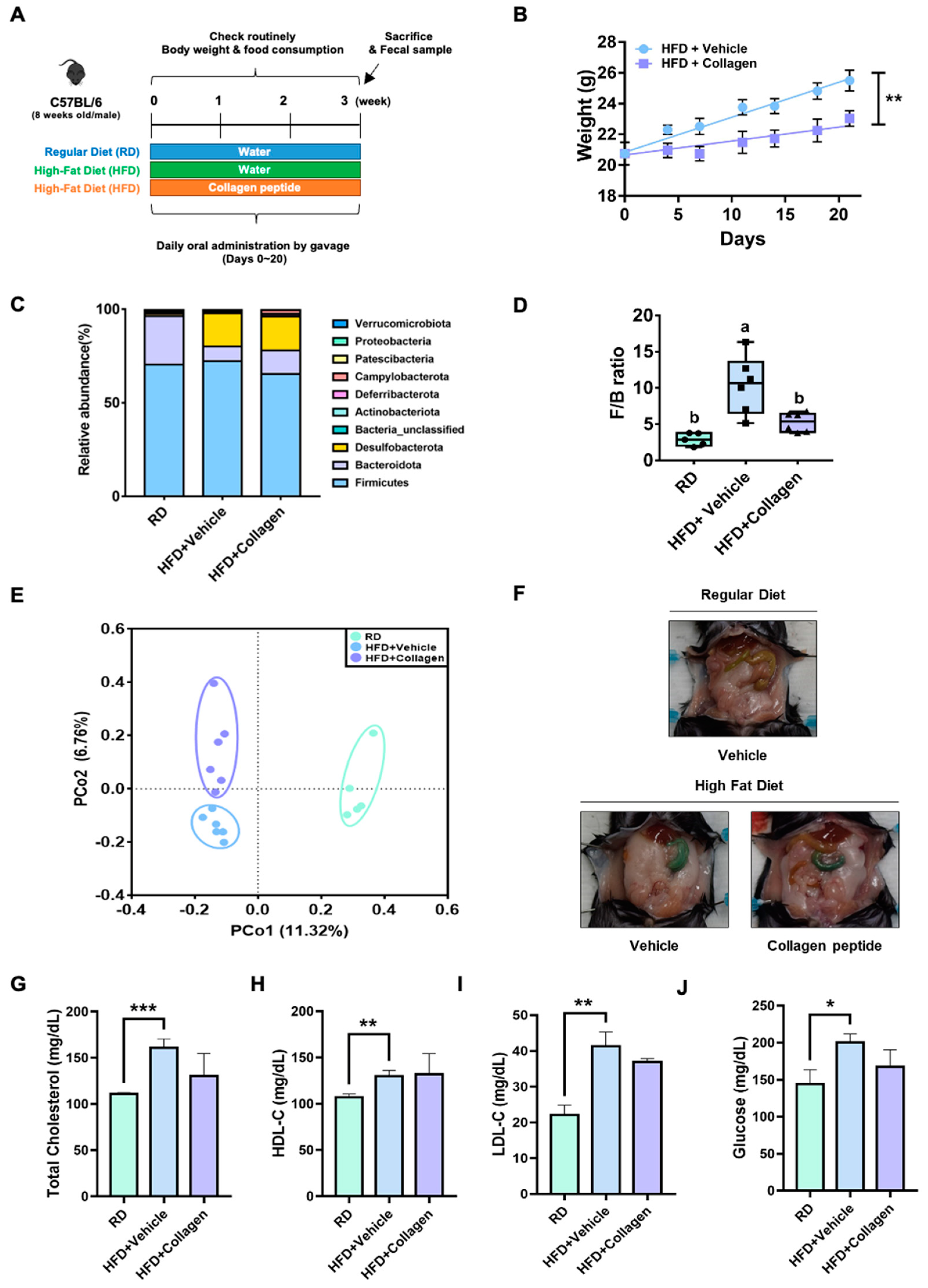 Nutrients 15 02610 g002 Nutrients 15 02610 g002