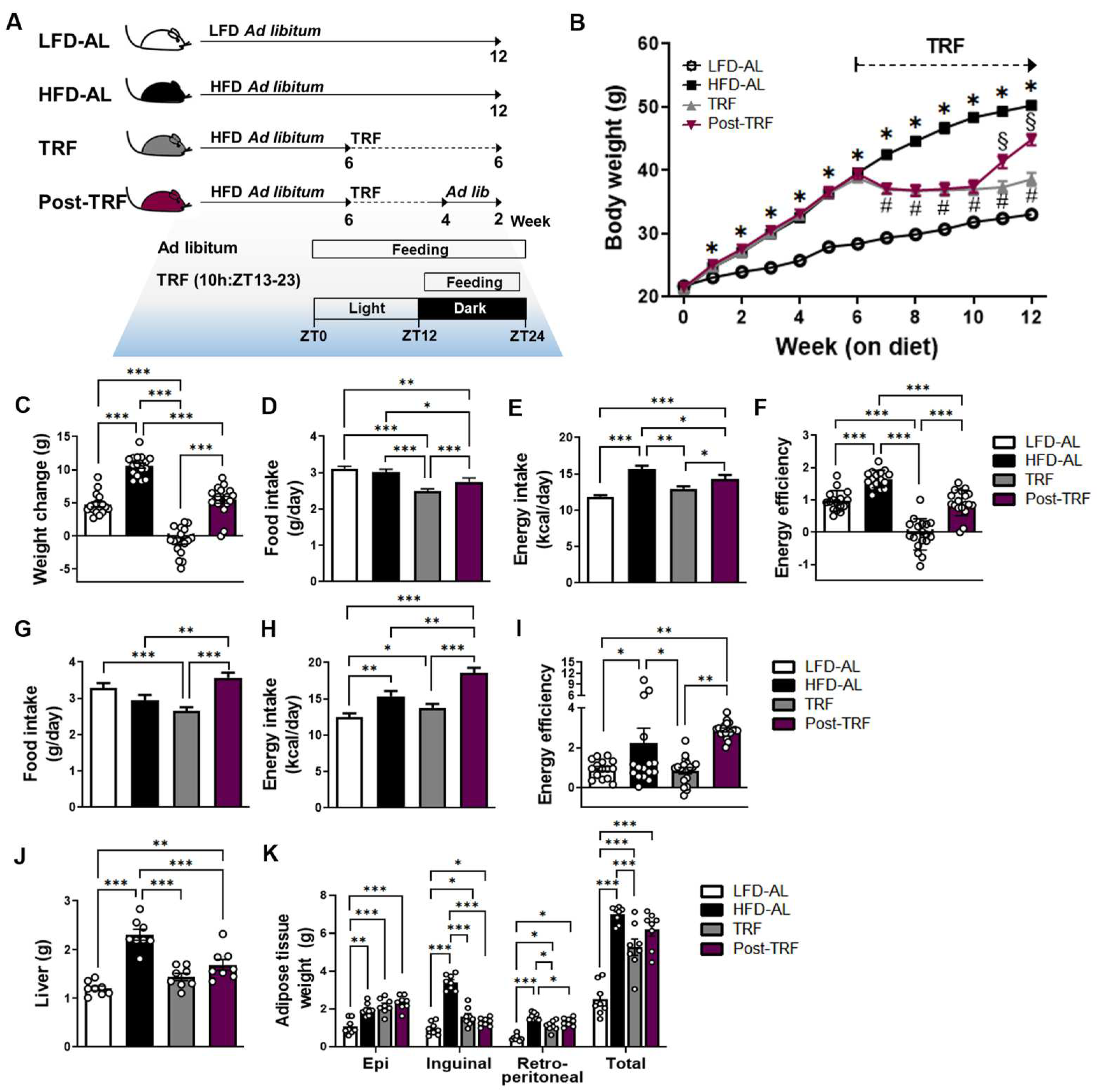 Nutrients 15 02617 g001 Nutrients 15 02617 g001