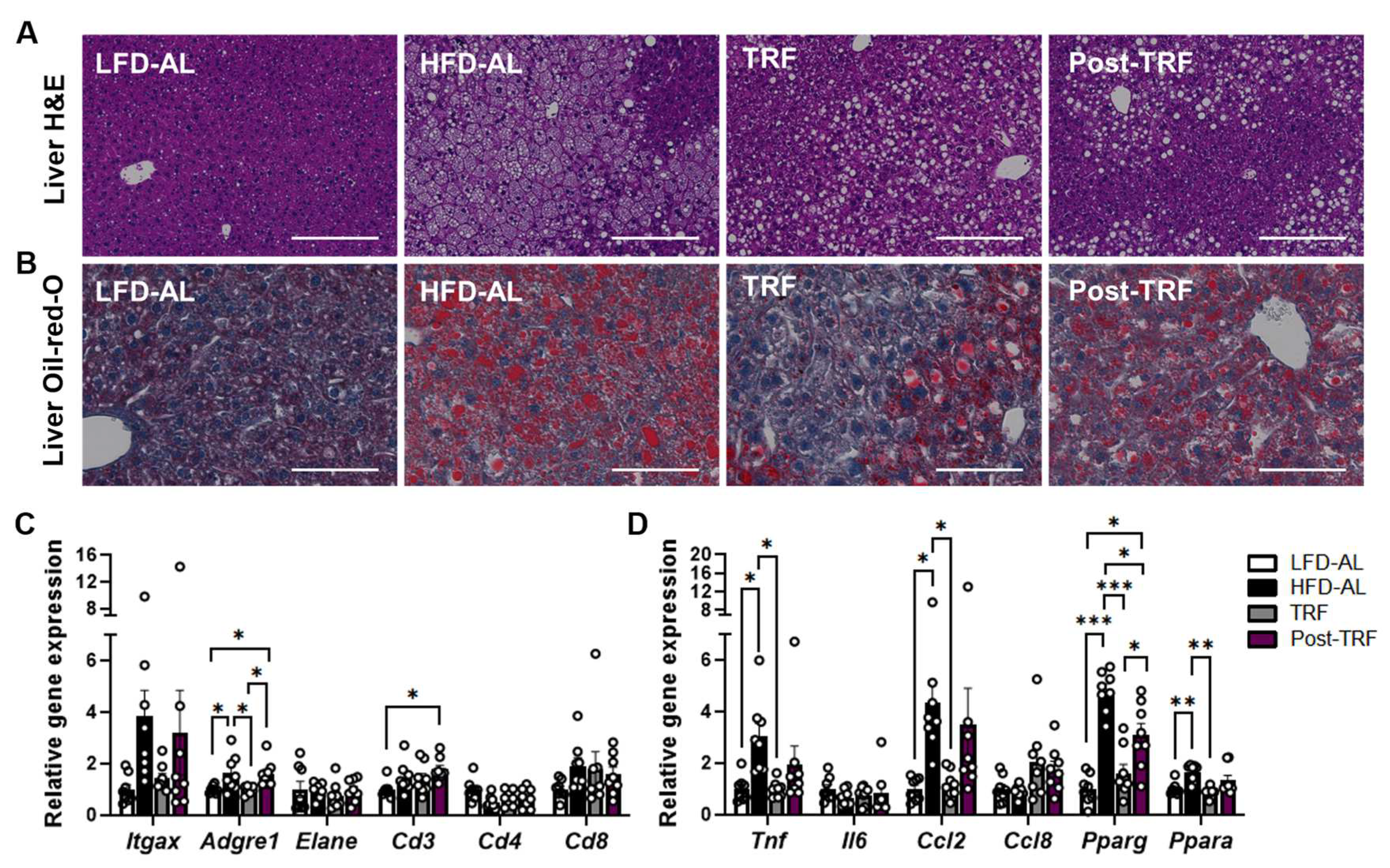 Nutrients 15 02617 g003 Nutrients 15 02617 g003