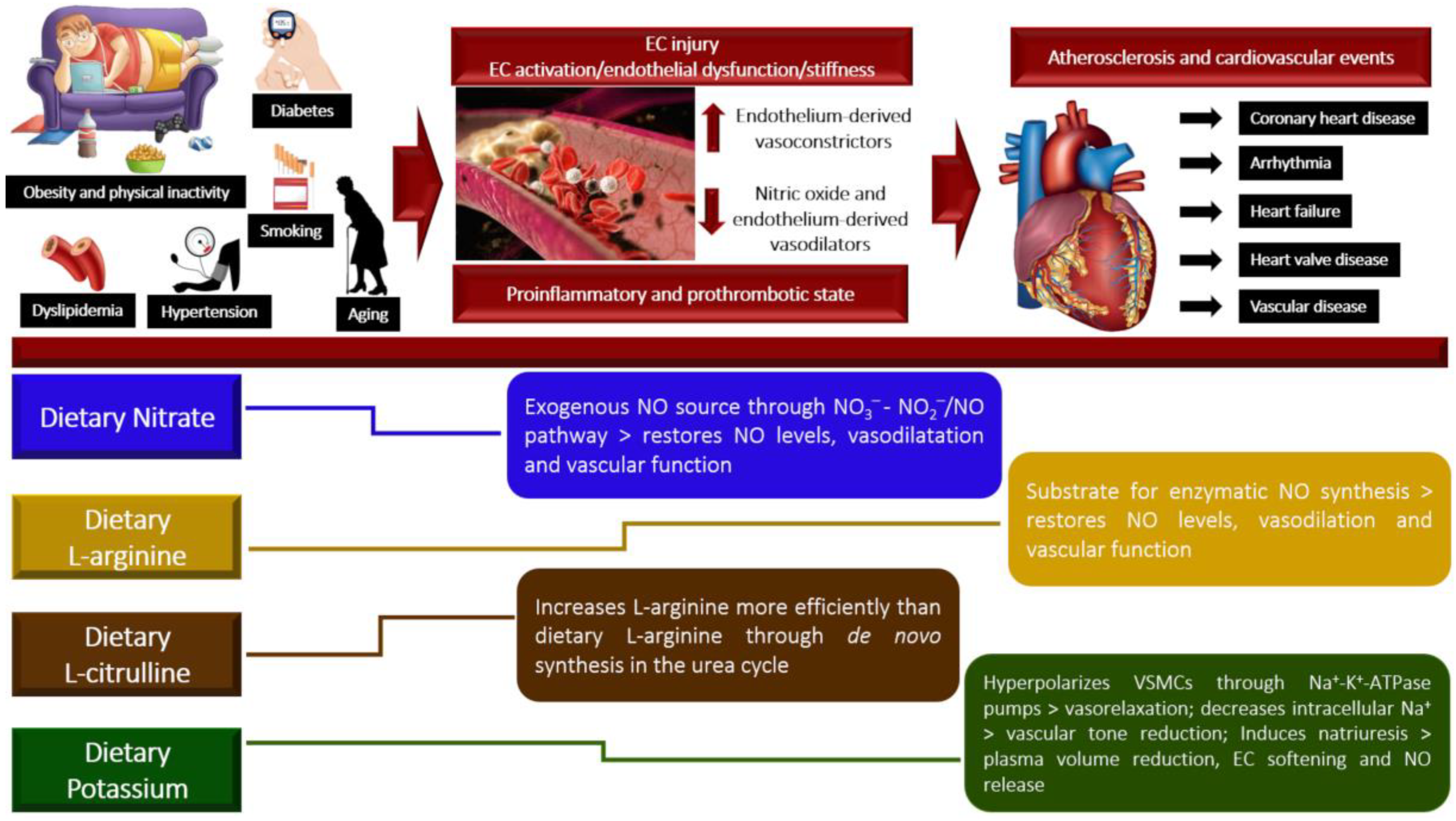 Nutrients 15 02618 g004 Nutrients 15 02618 g004