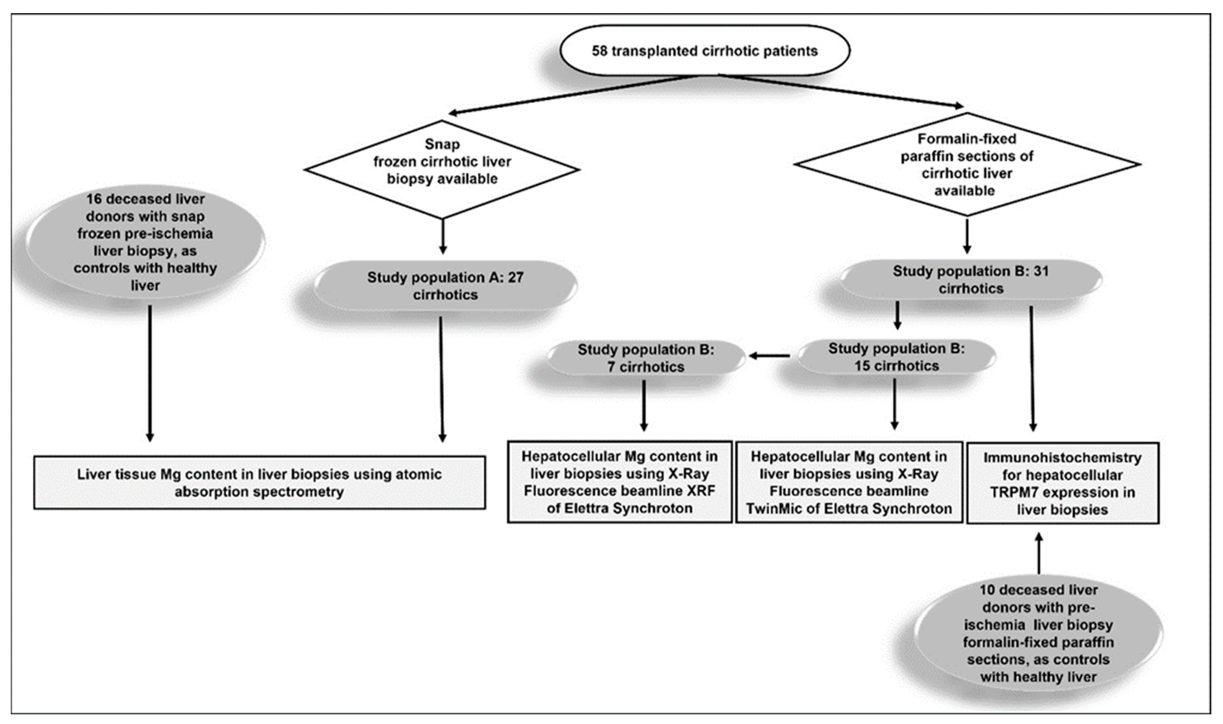 Nutrients 15 02626 g001 Nutrients 15 02626 g001