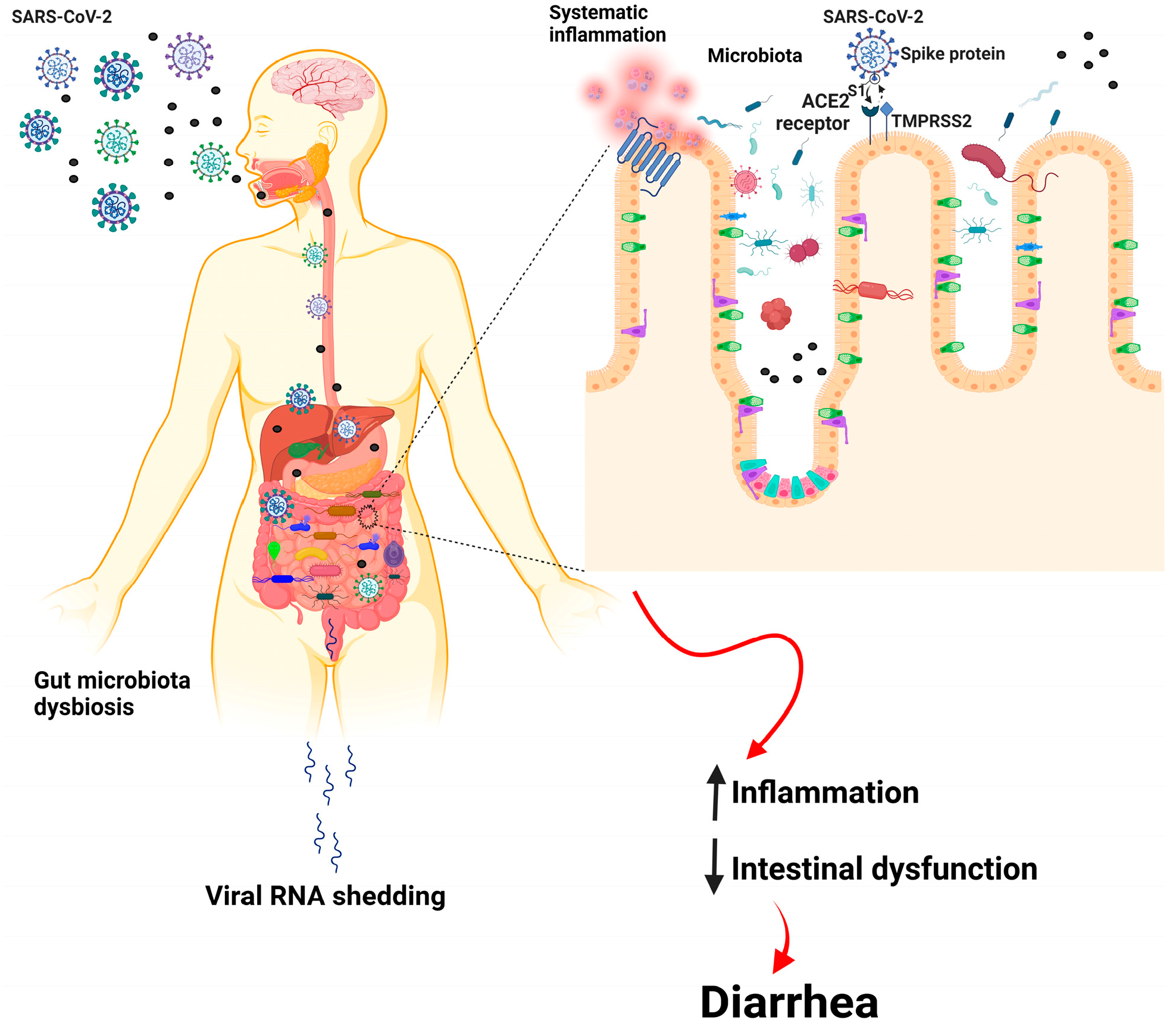Nutrients 15 02631 g001 Nutrients 15 02631 g001