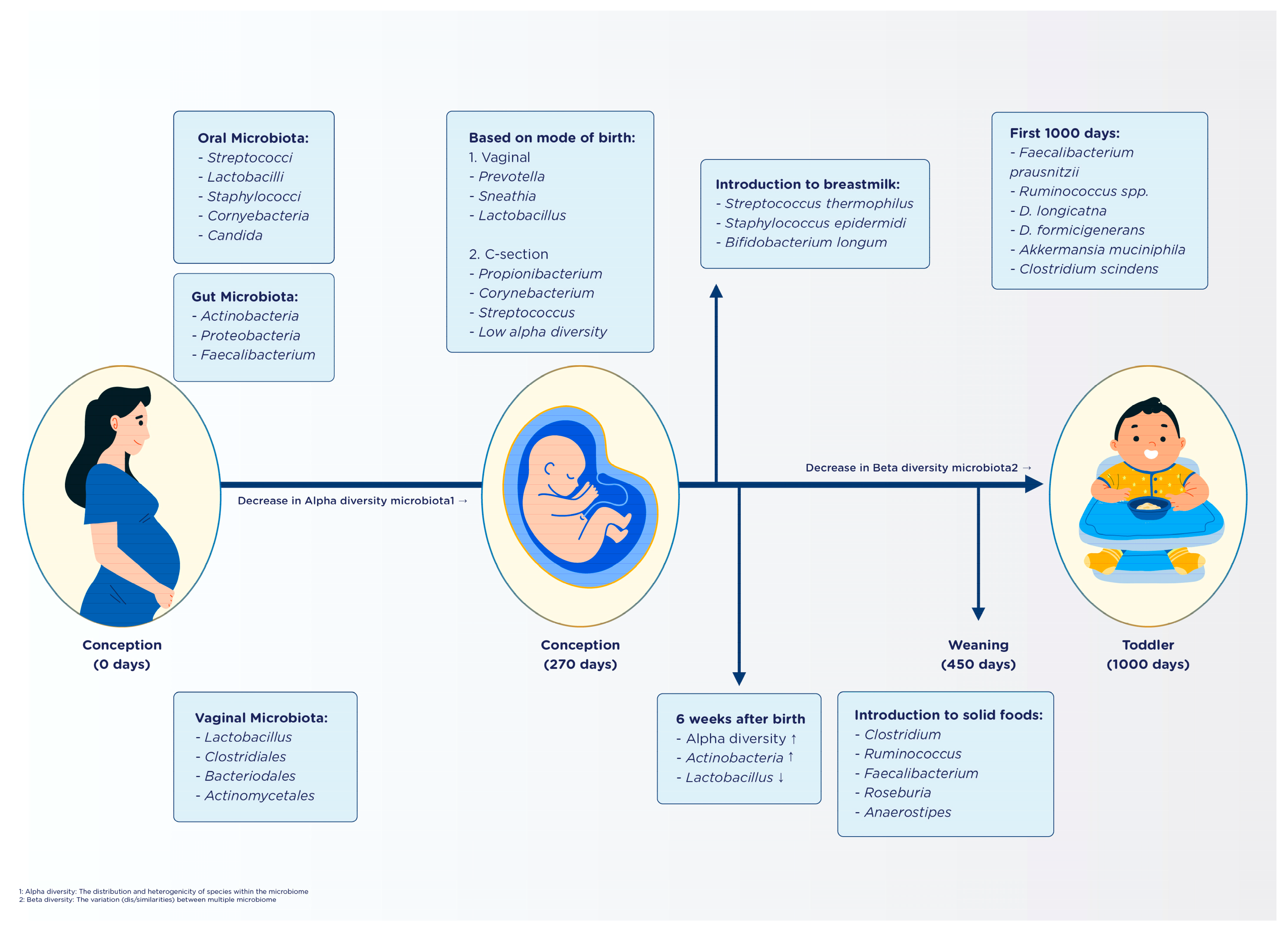 Nutrients 15 02642 g001