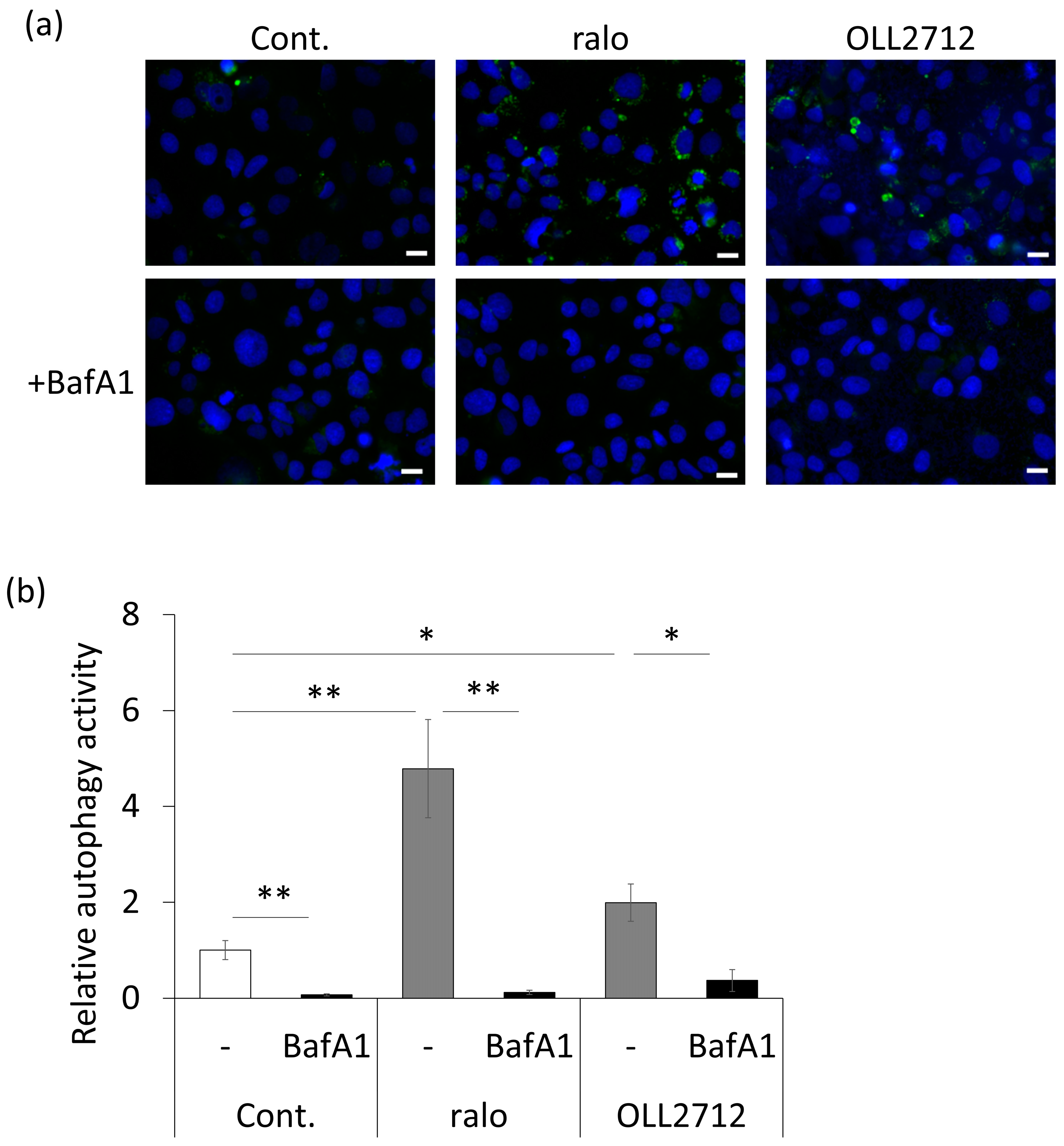 Nutrients 15 02655 g003 Nutrients 15 02655 g003