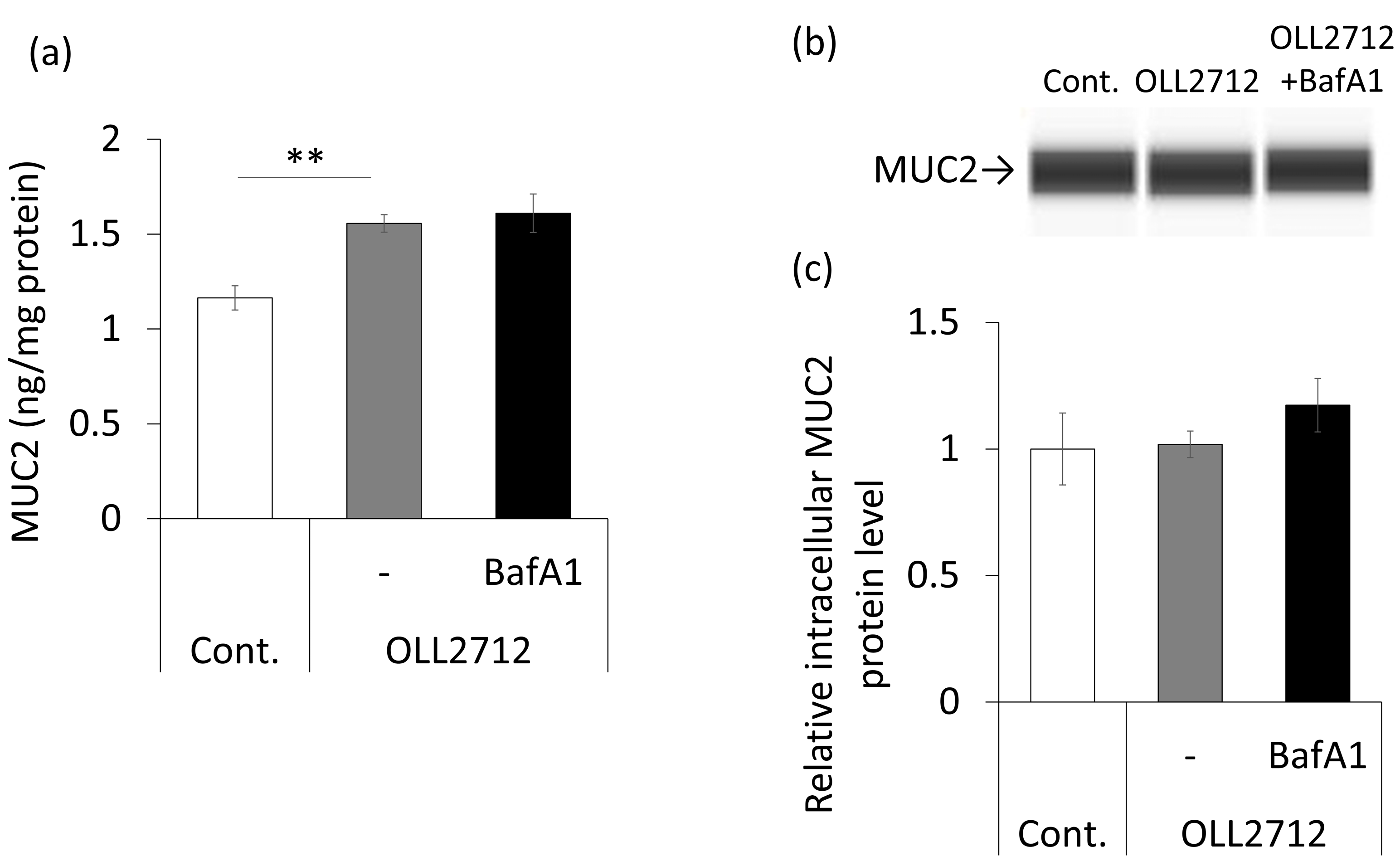Nutrients 15 02655 g006 Nutrients 15 02655 g006
