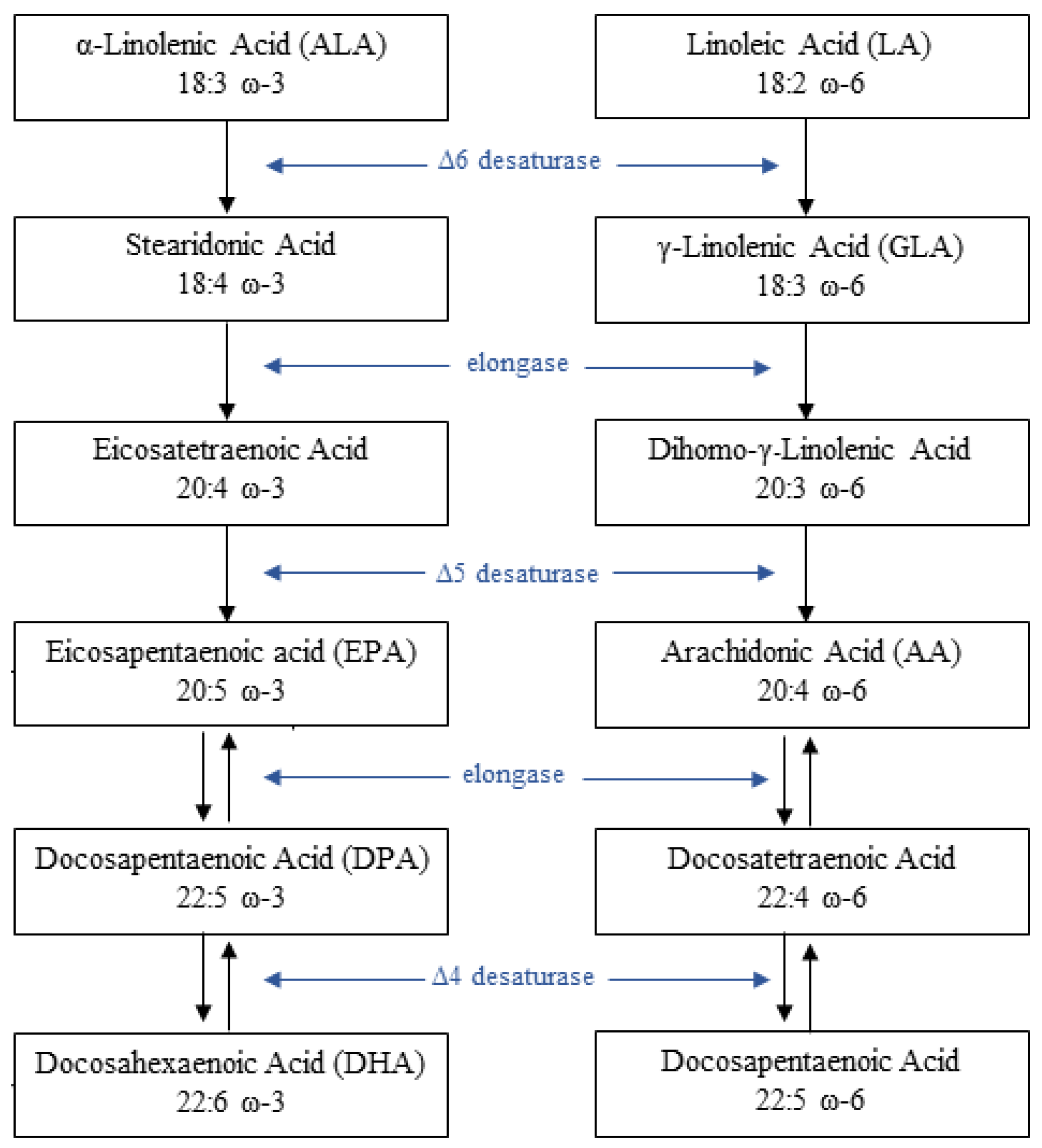 Nutrients Free FullText The Effects of Omega 3 and Omega 6 Fatty