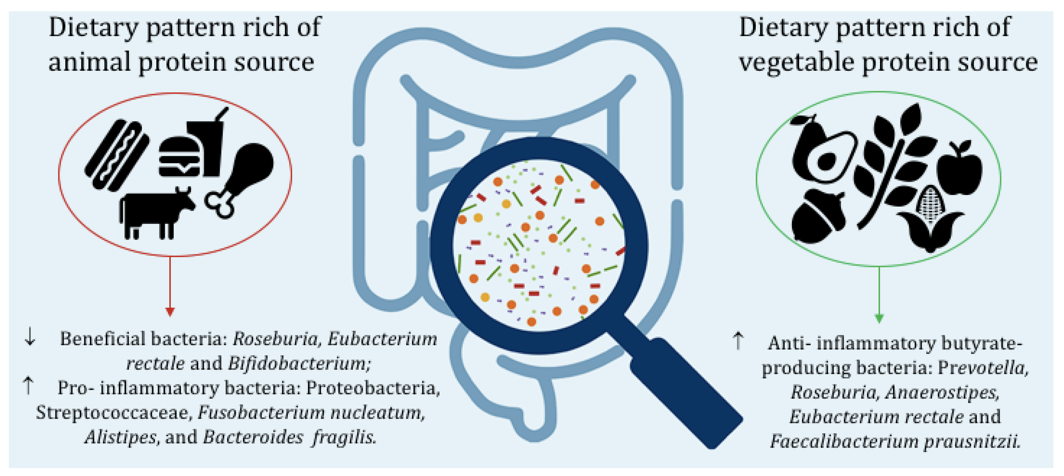 Nutrients 15 02675 g001