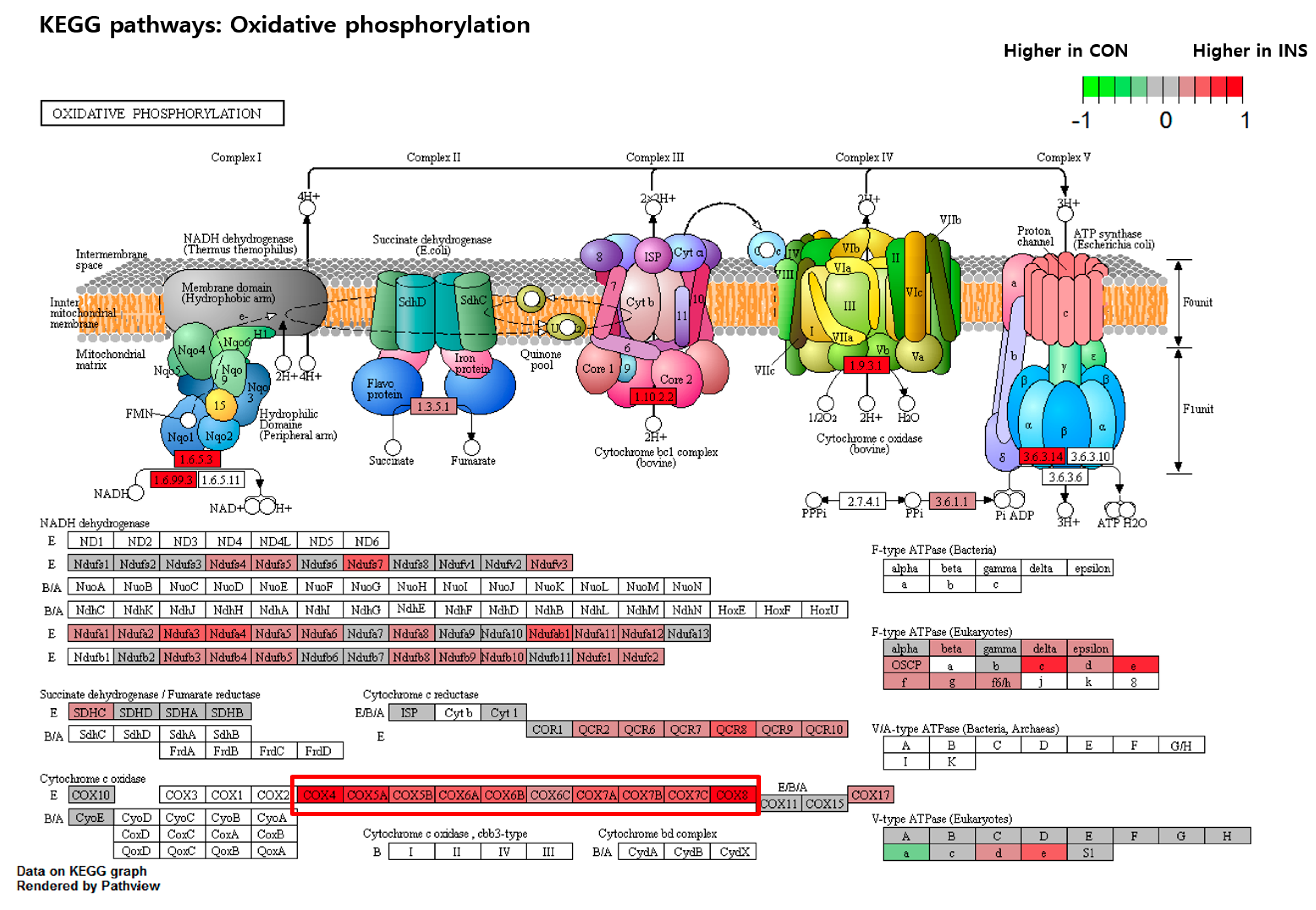 Nutrients 15 02685 g008