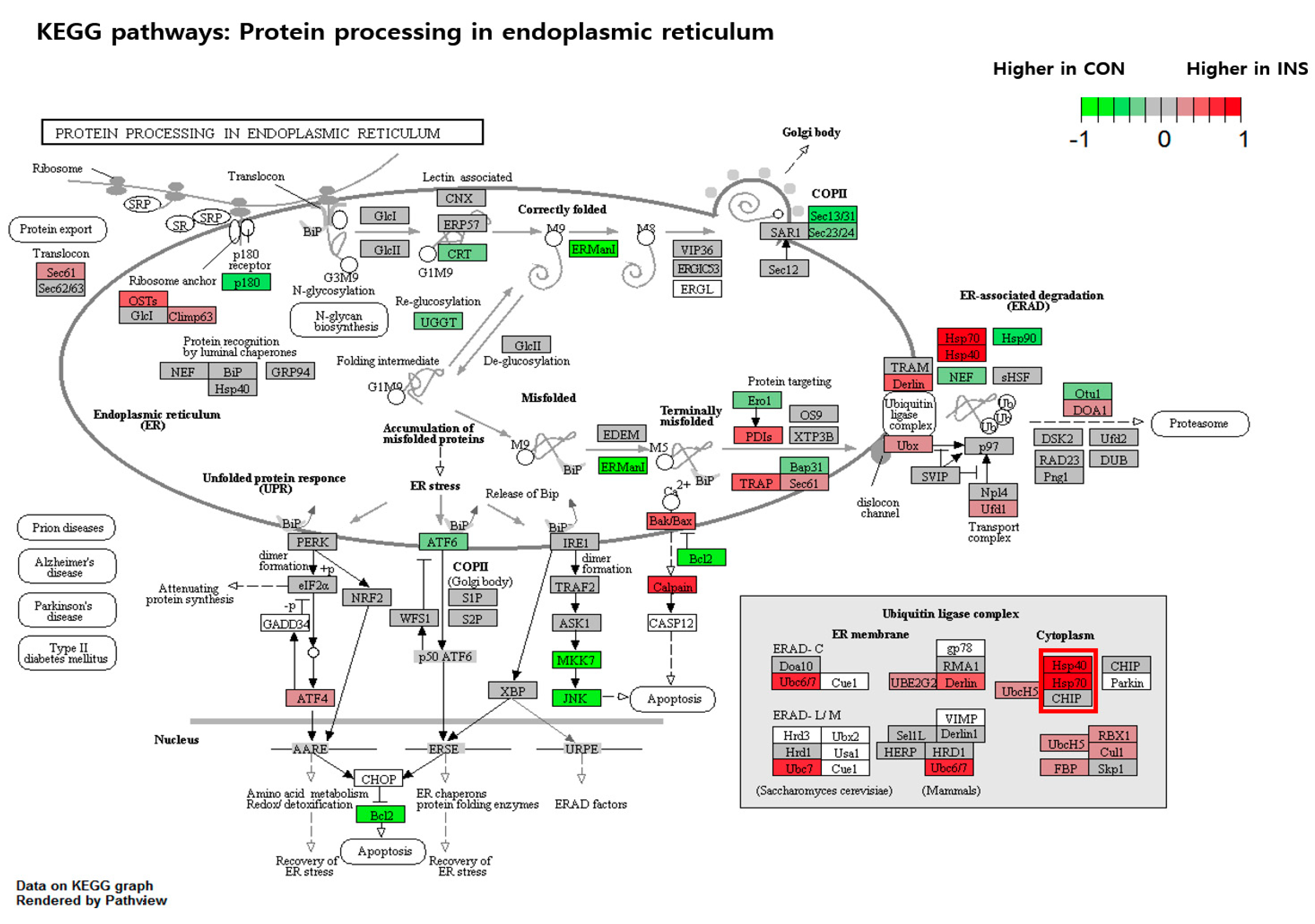 Nutrients 15 02685 g009