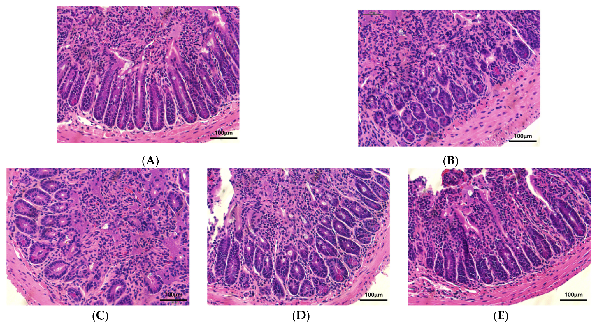 Nutrients 15 02697 g004