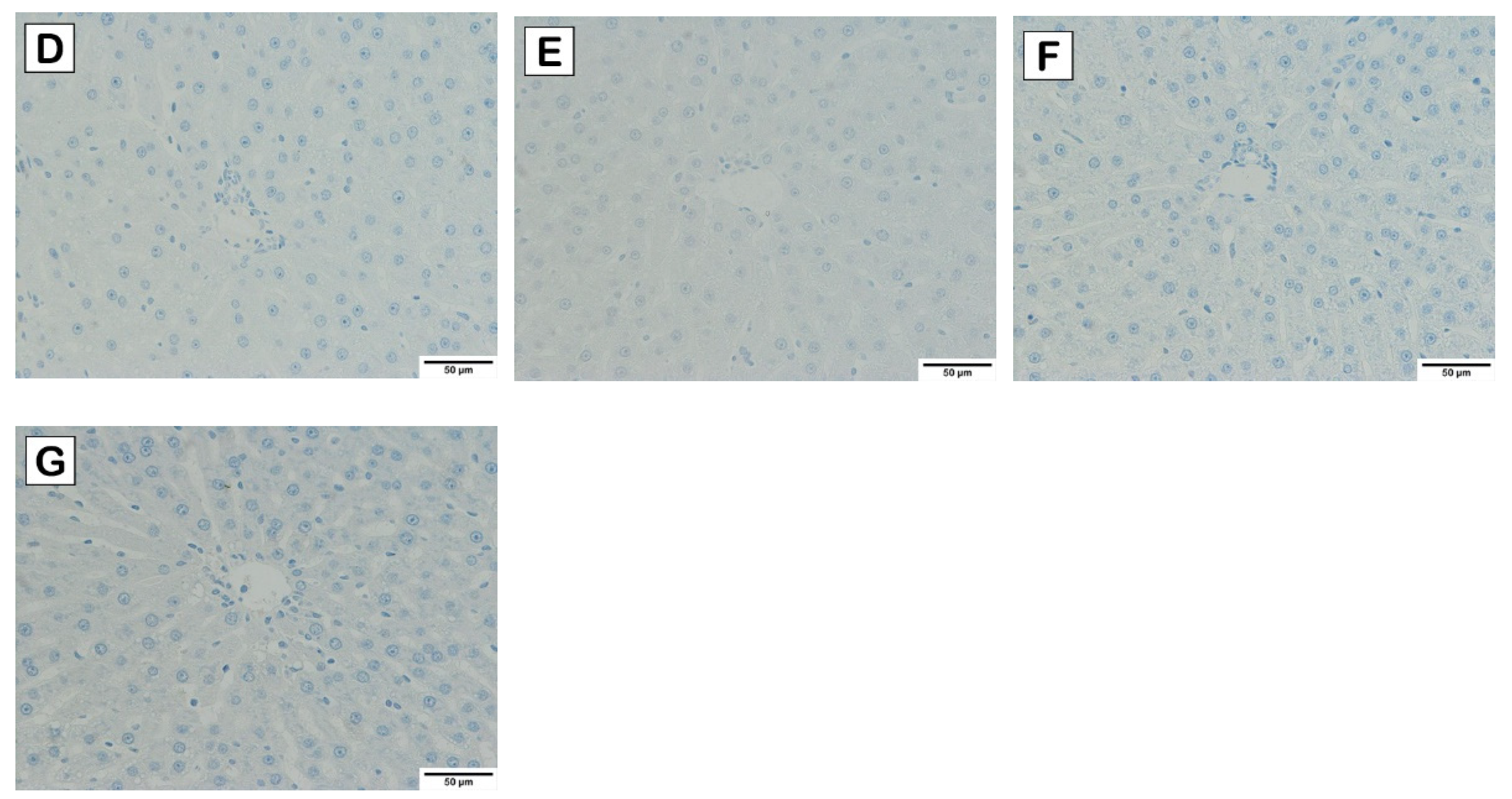 Nutrients 15 02710 g005b