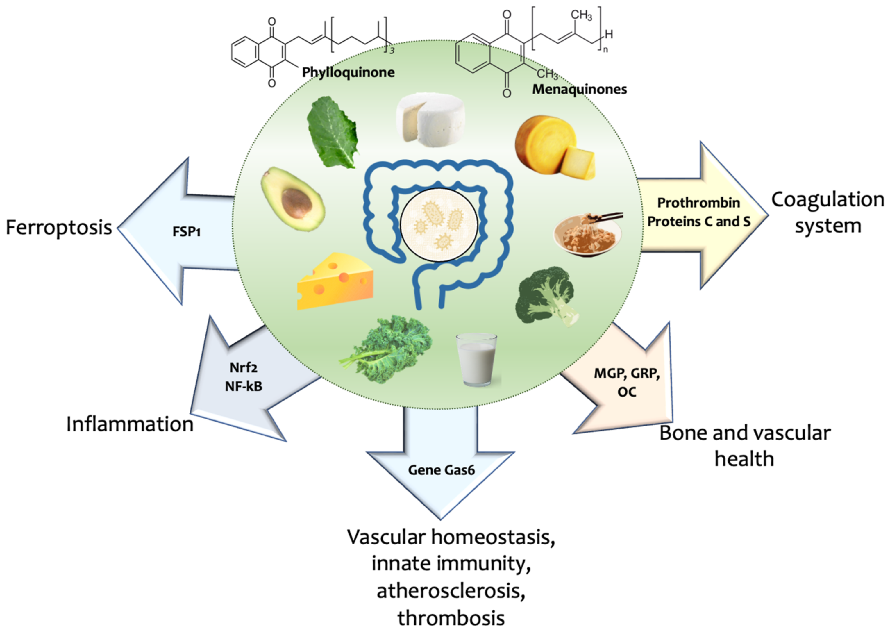 Nutrients 15 02727 g002