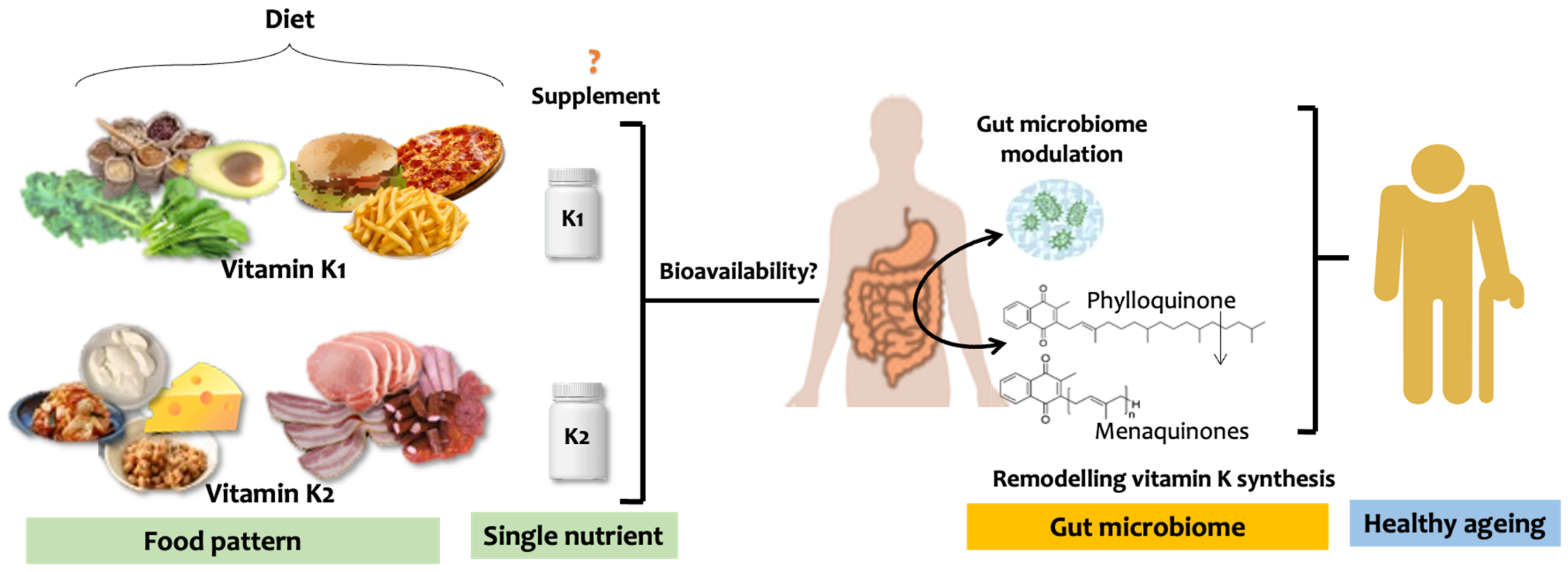 Nutrients 15 02727 g004