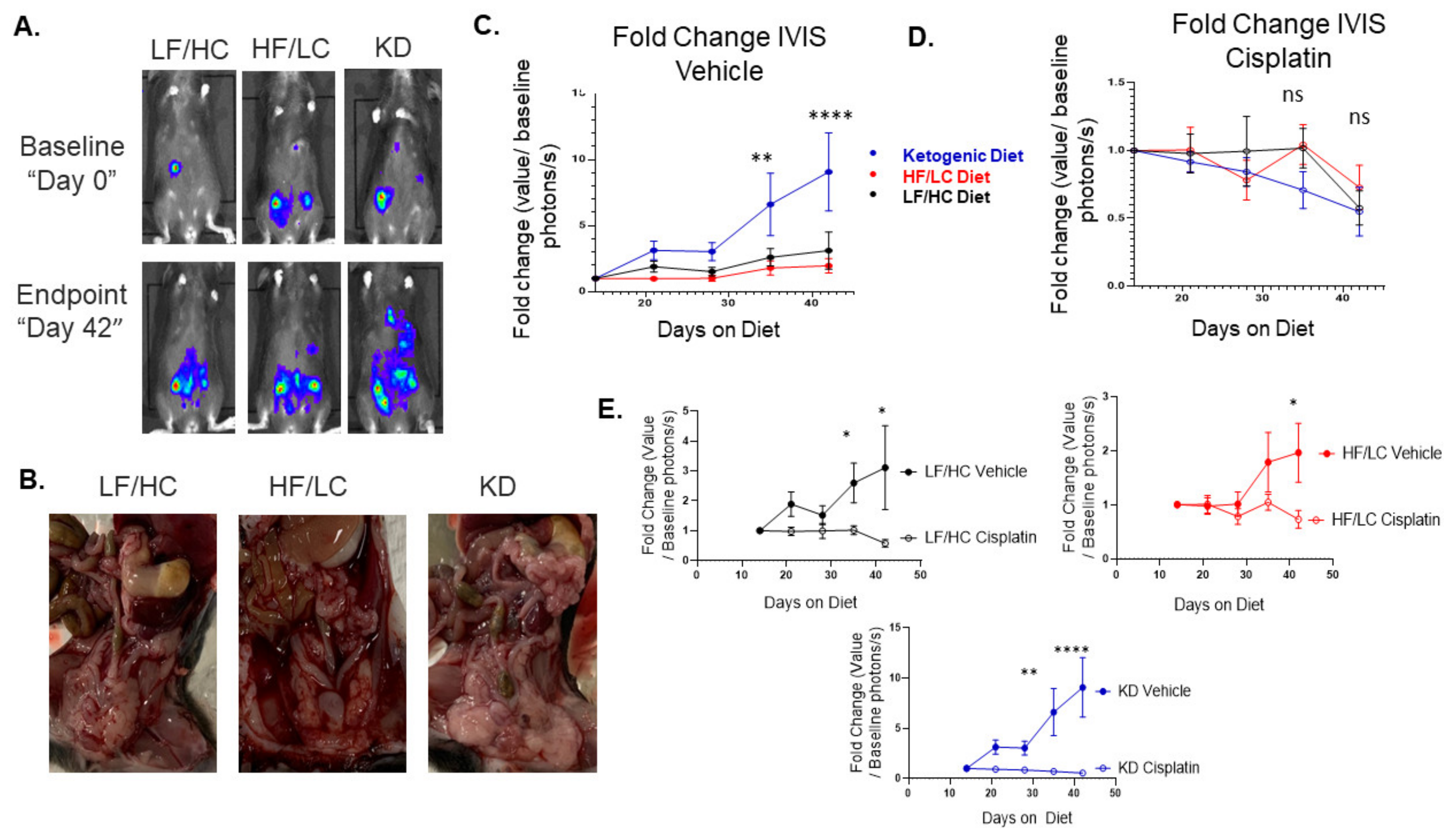 Nutrients 15 02730 g002 Nutrients 15 02730 g002