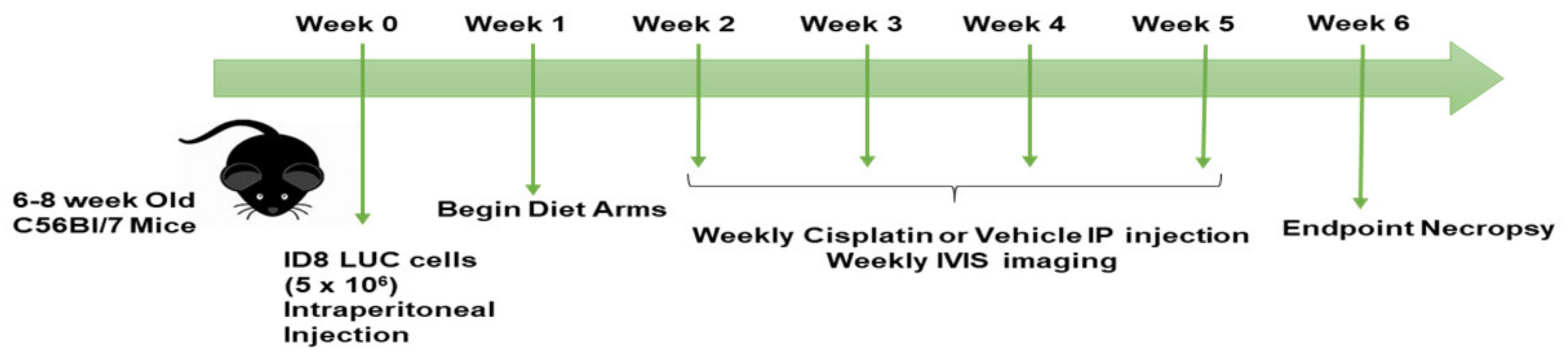 Nutrients 15 02730 sch001 Nutrients 15 02730 sch001