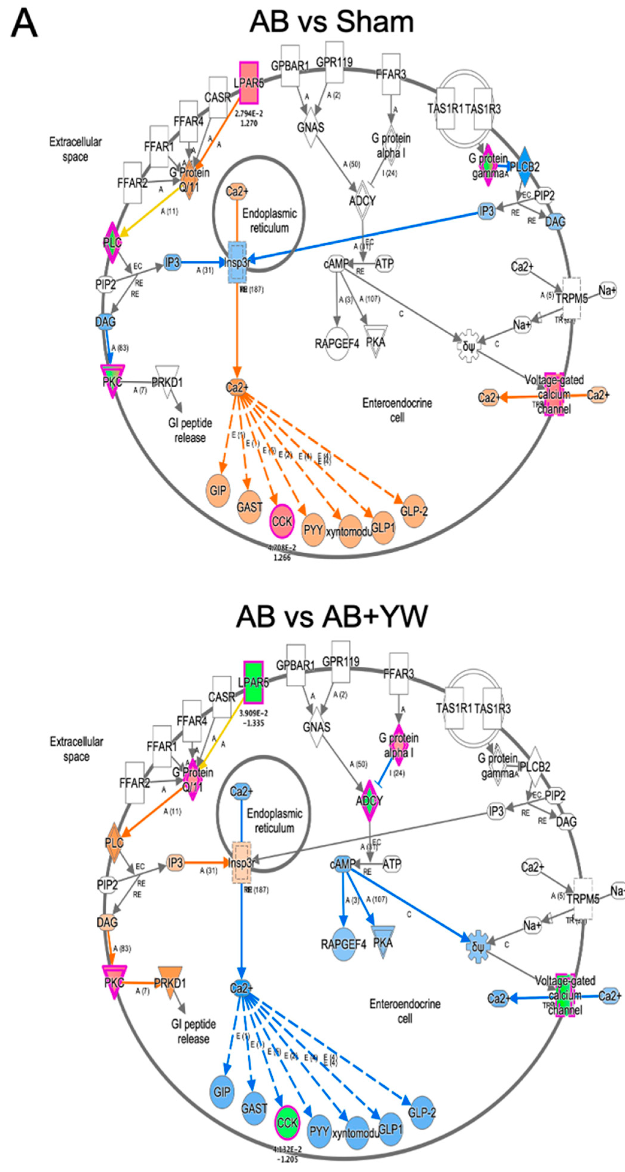 Nutrients 15 02731 g006a