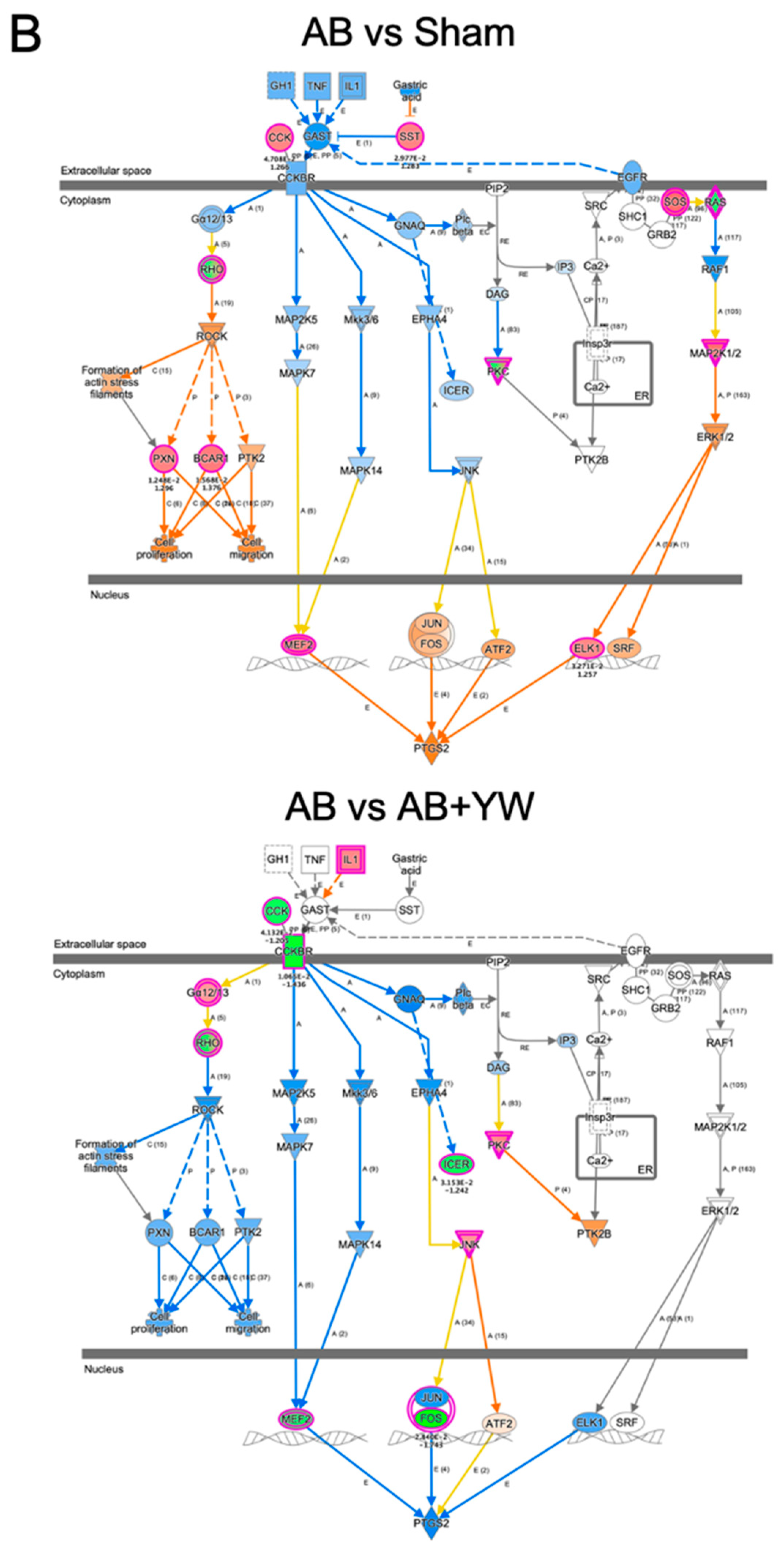 Nutrients 15 02731 g006b