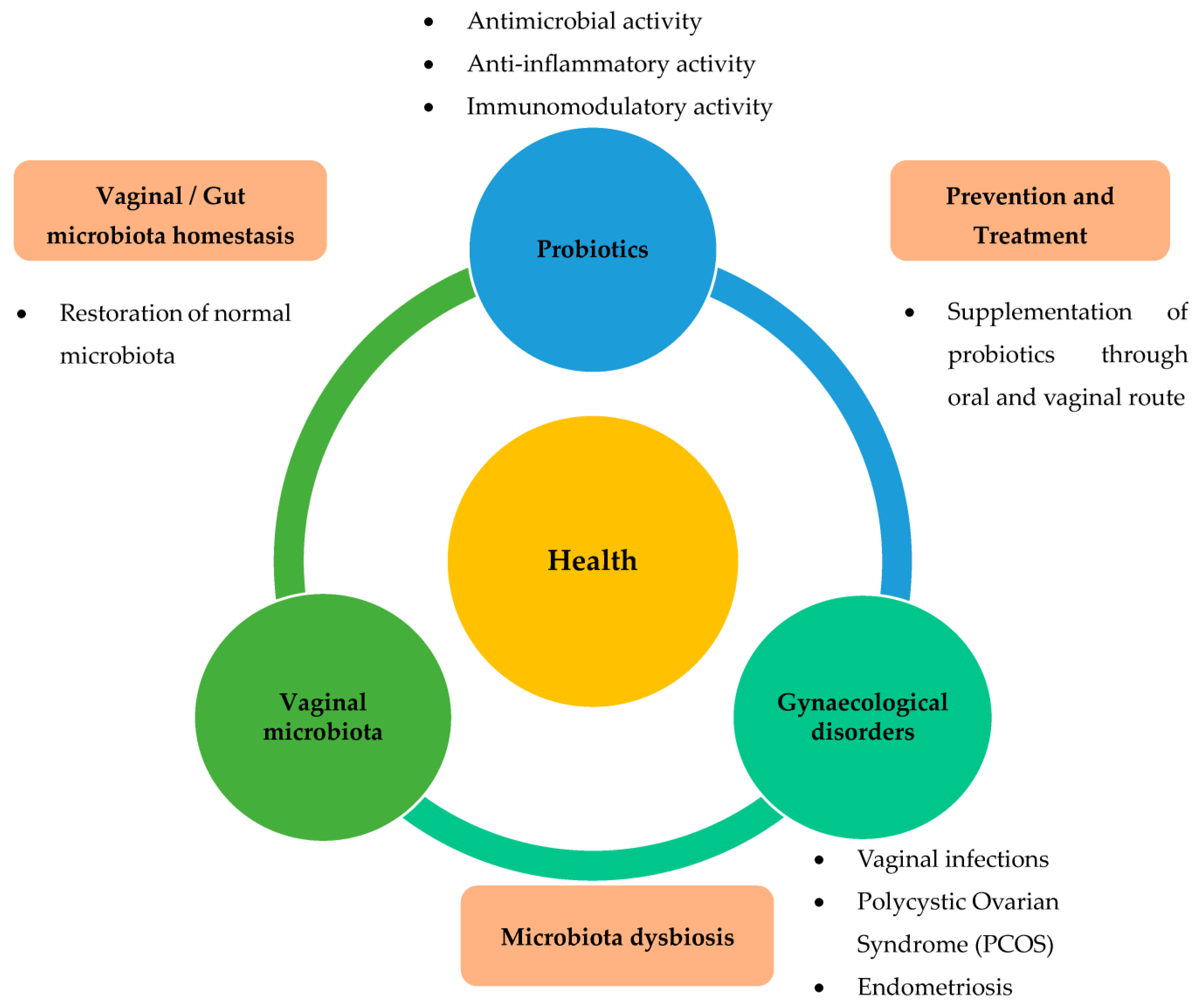 Nutrients 15 02733 g002