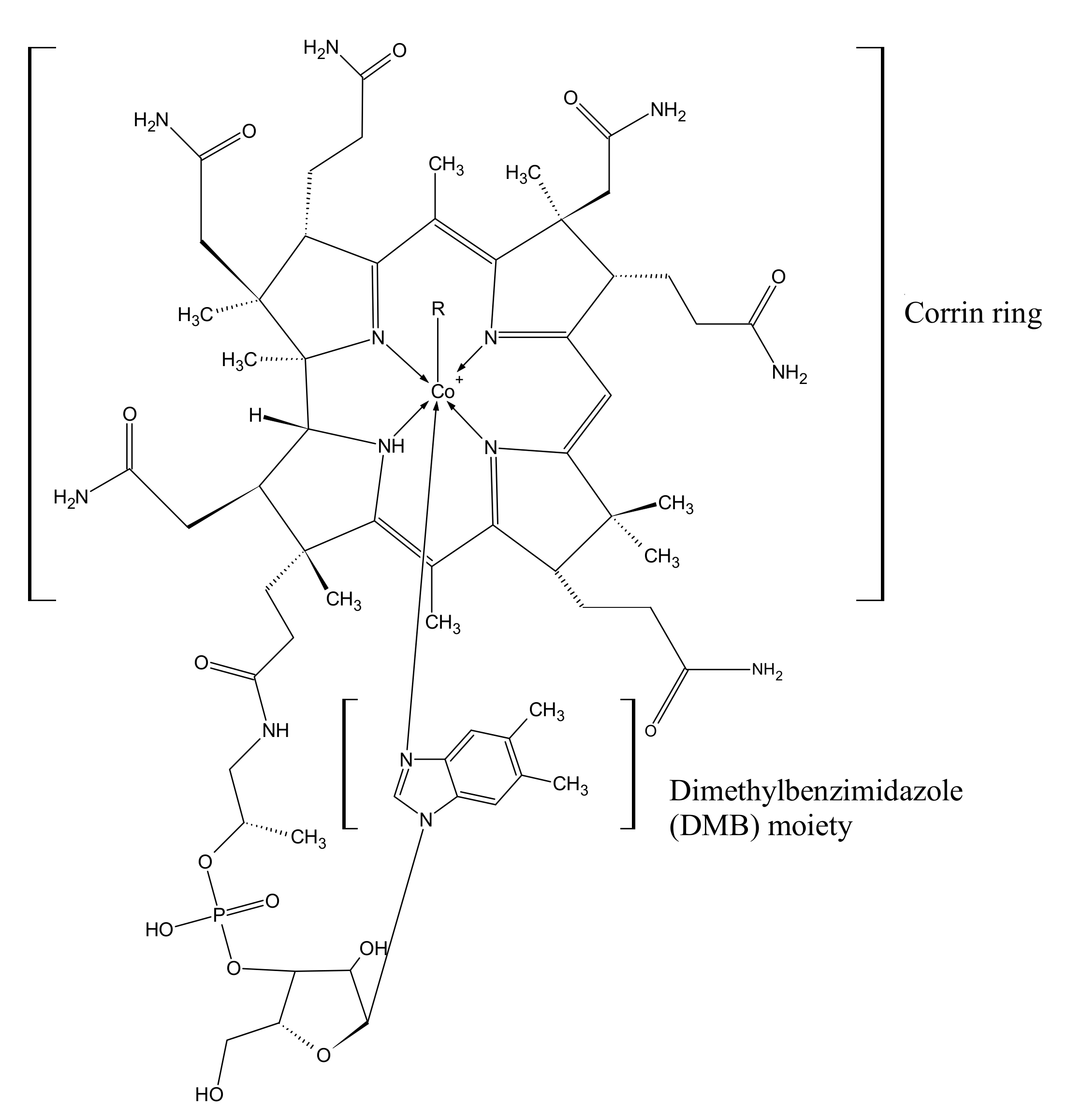 Nutrients 15 02734 g001 Nutrients 15 02734 g001