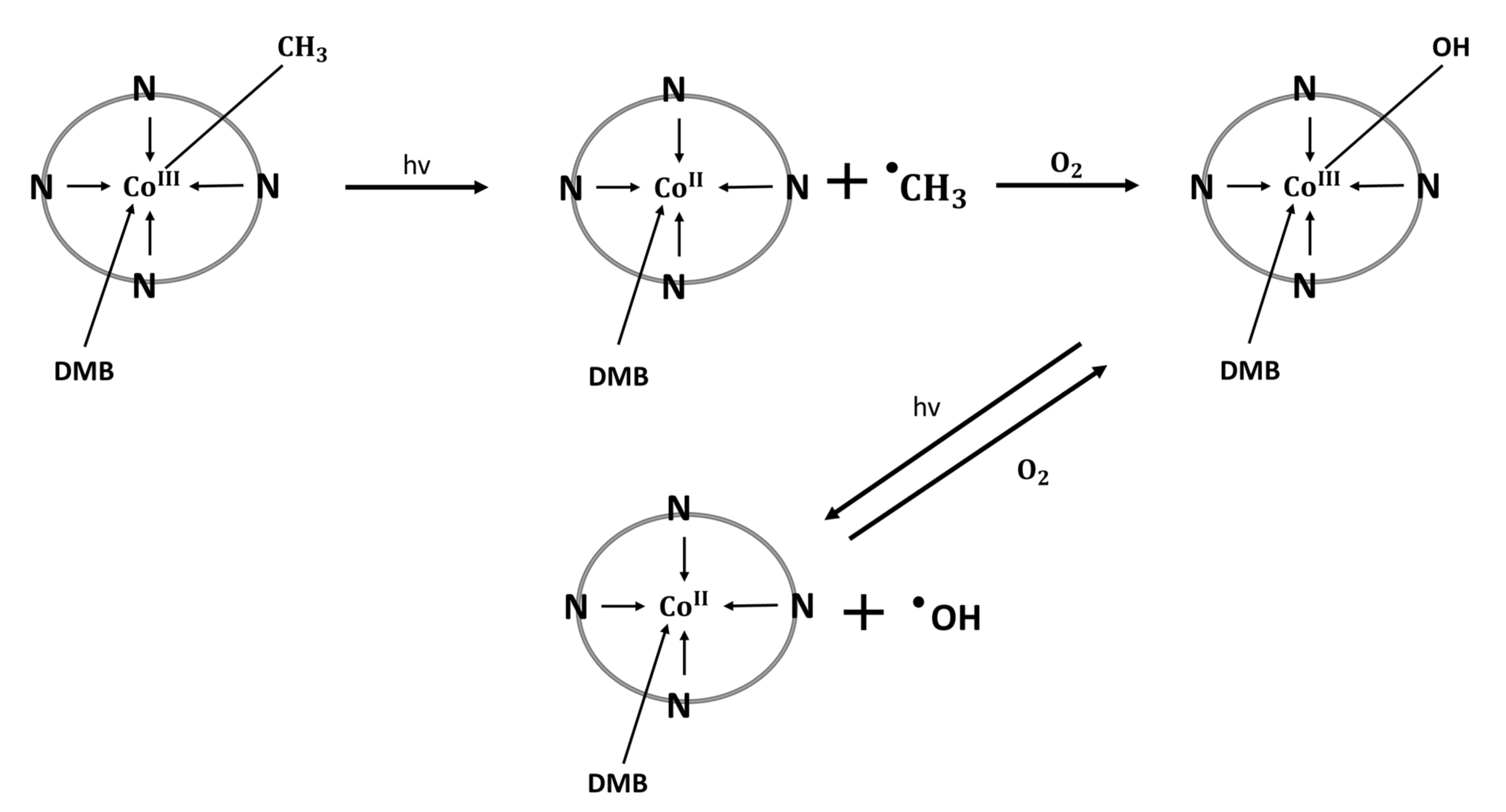 Nutrients 15 02734 g003 Nutrients 15 02734 g003