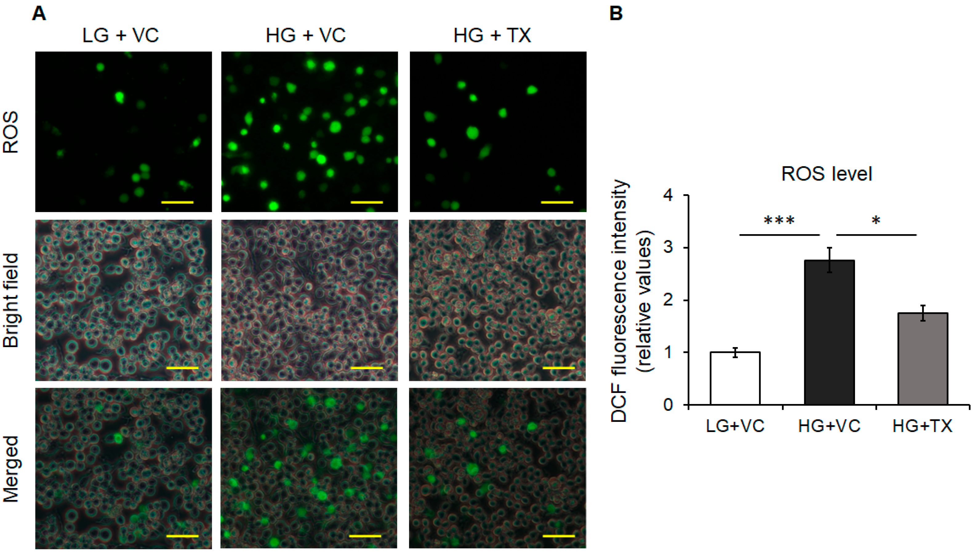 Nutrients 15 02738 g002 Nutrients 15 02738 g002